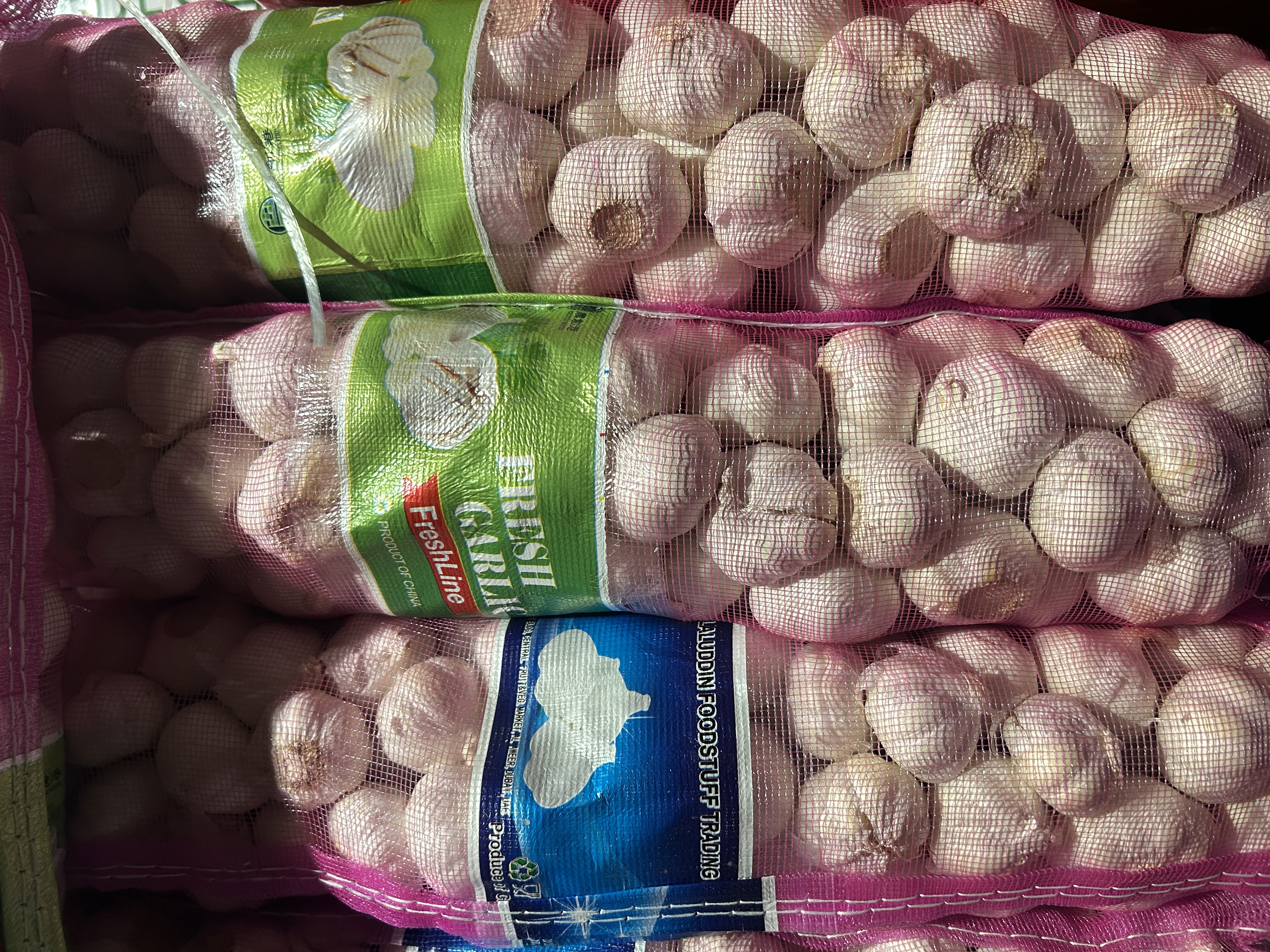 Fresh Garlic Bulbs