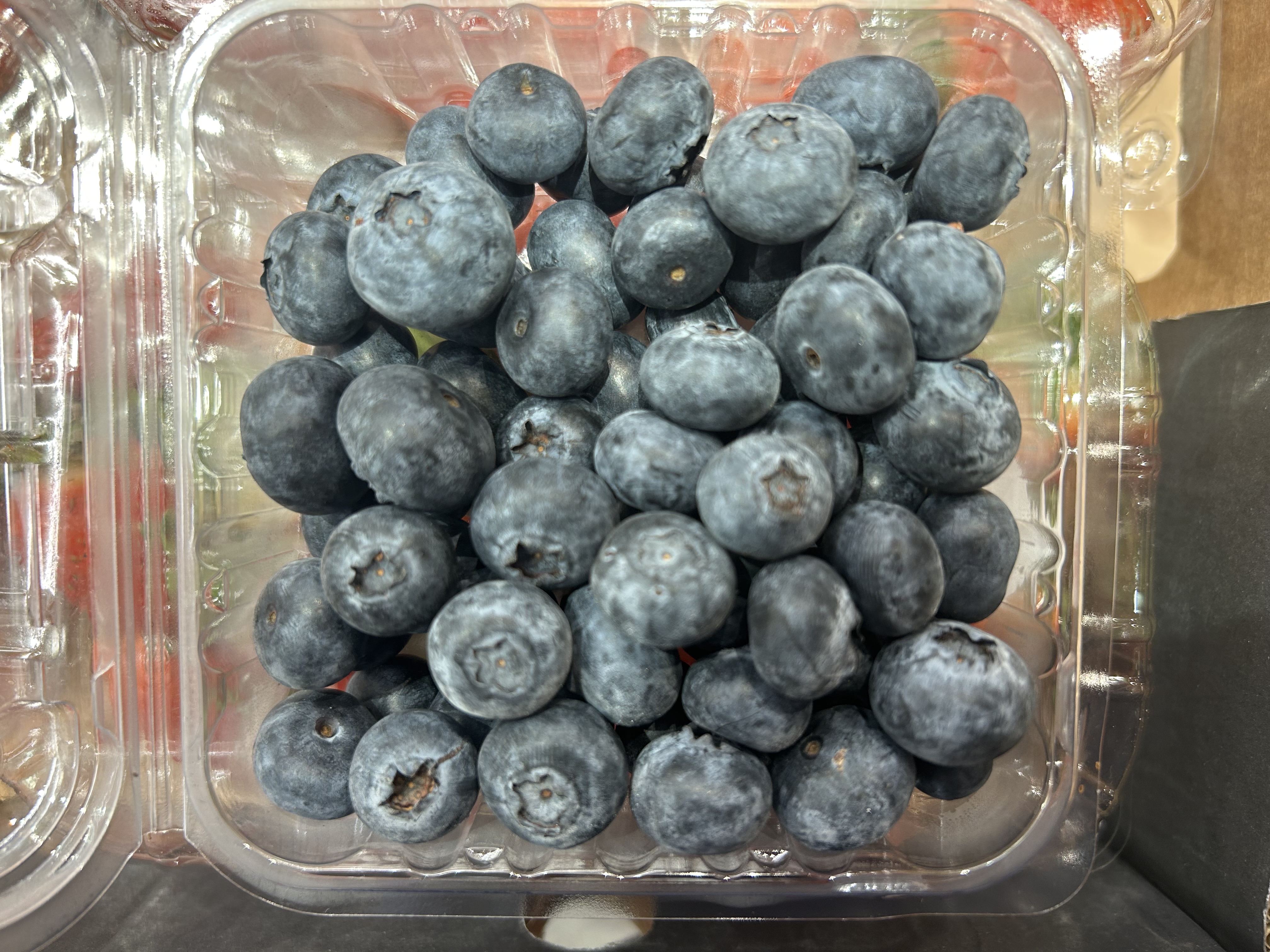 Fresh Blueberries