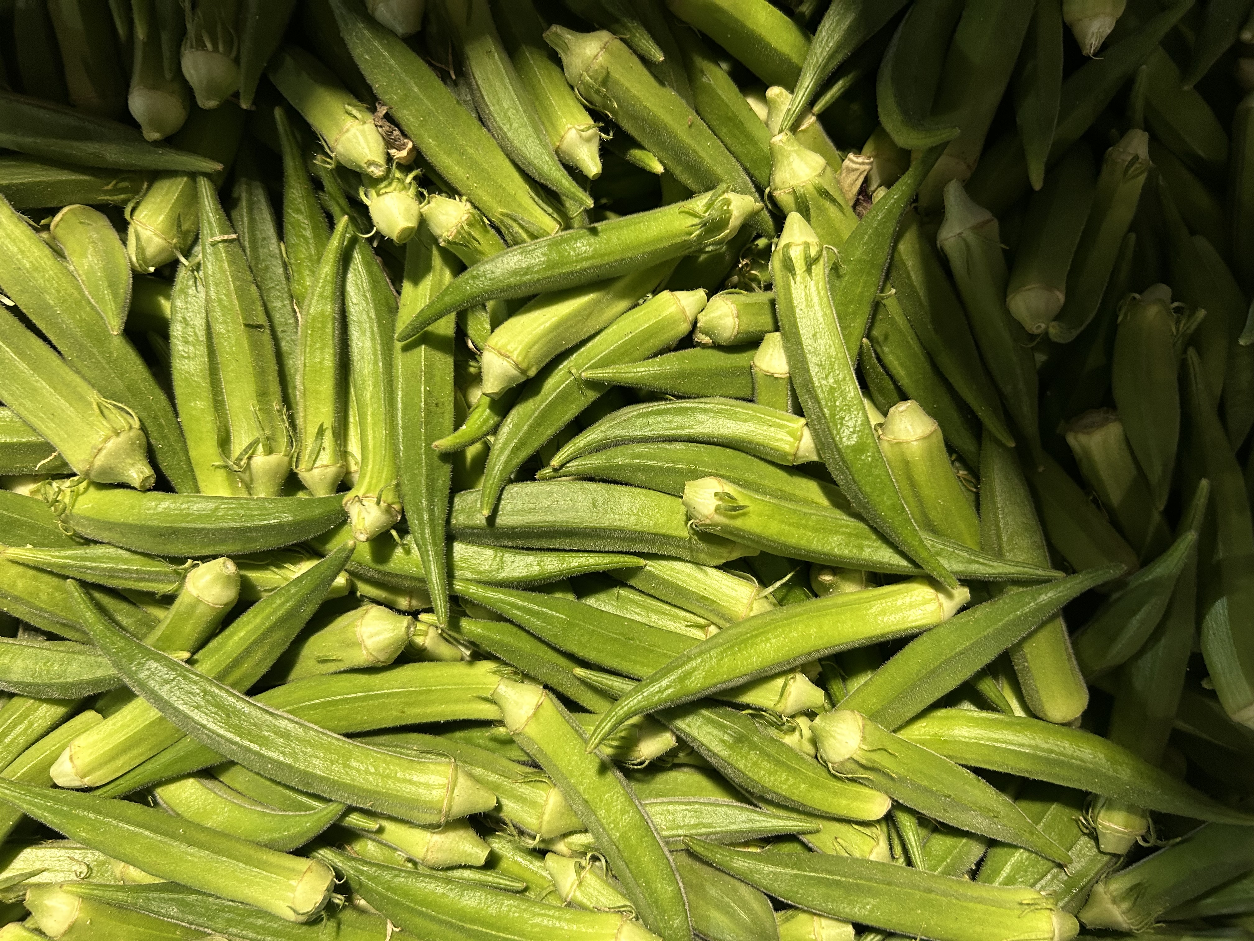 Fresh Okra