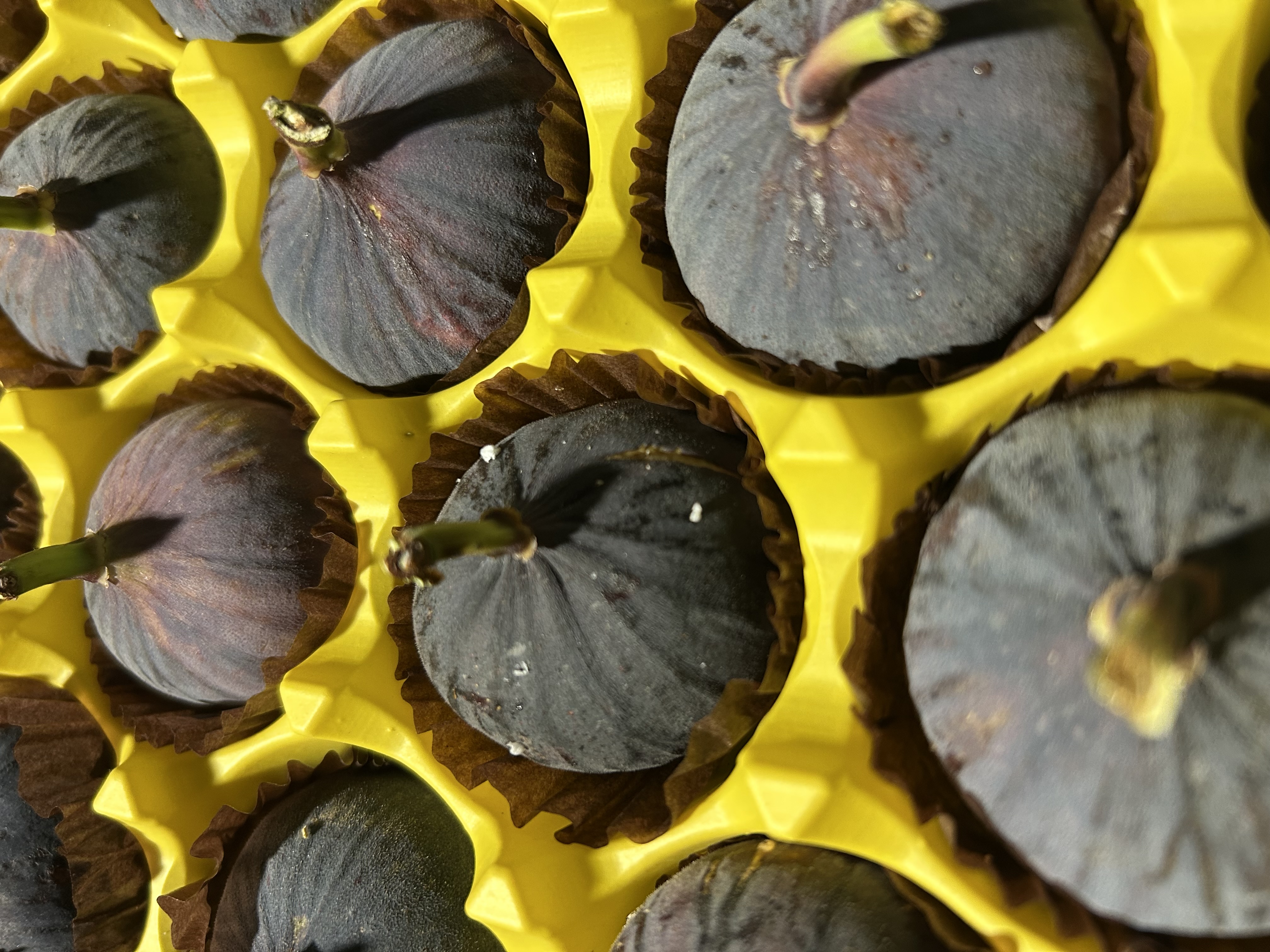 Royal Black Figs 1kg