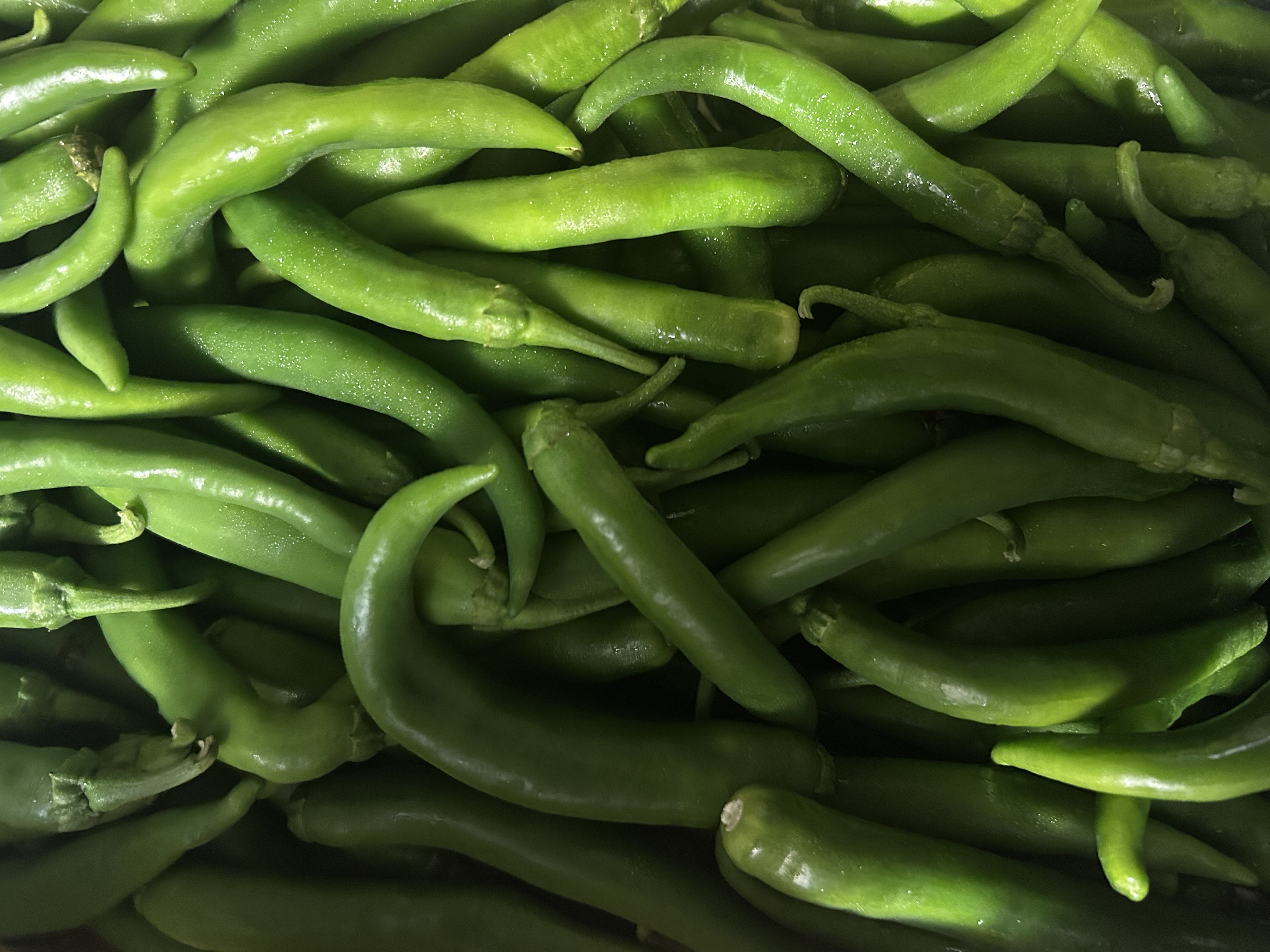 Fresh Green Chili Peppers
