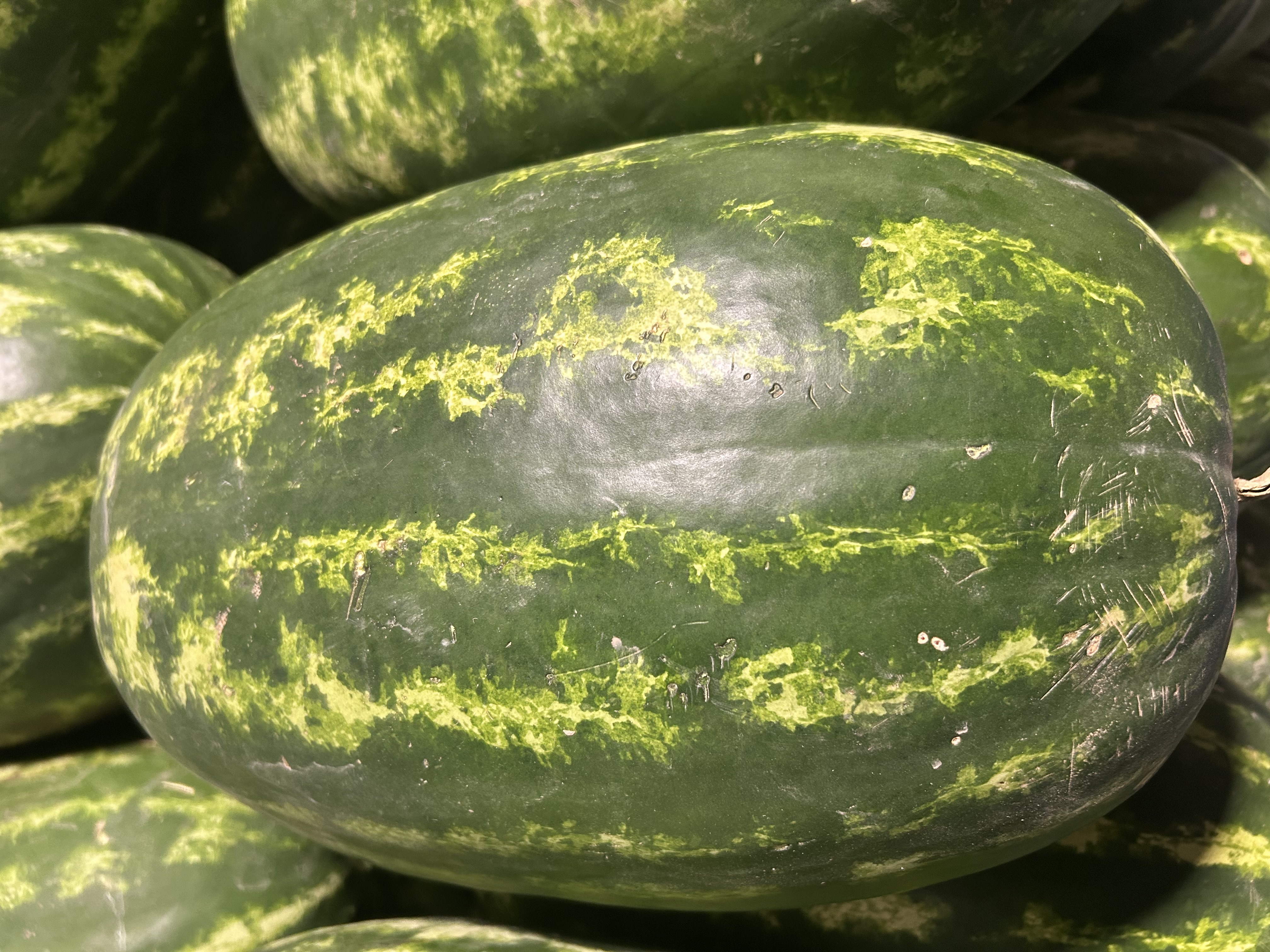 Fresh Watermelon