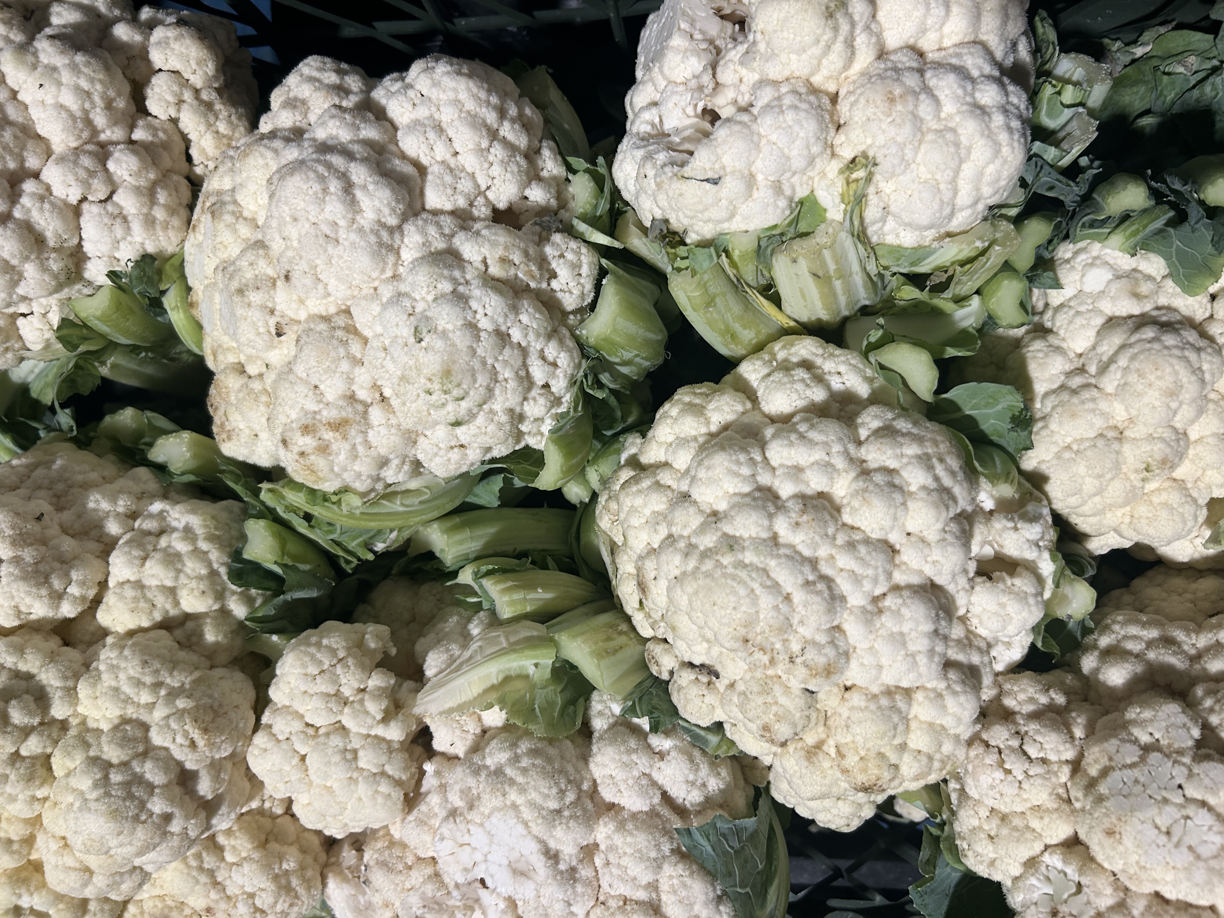 Fresh Cauliflower