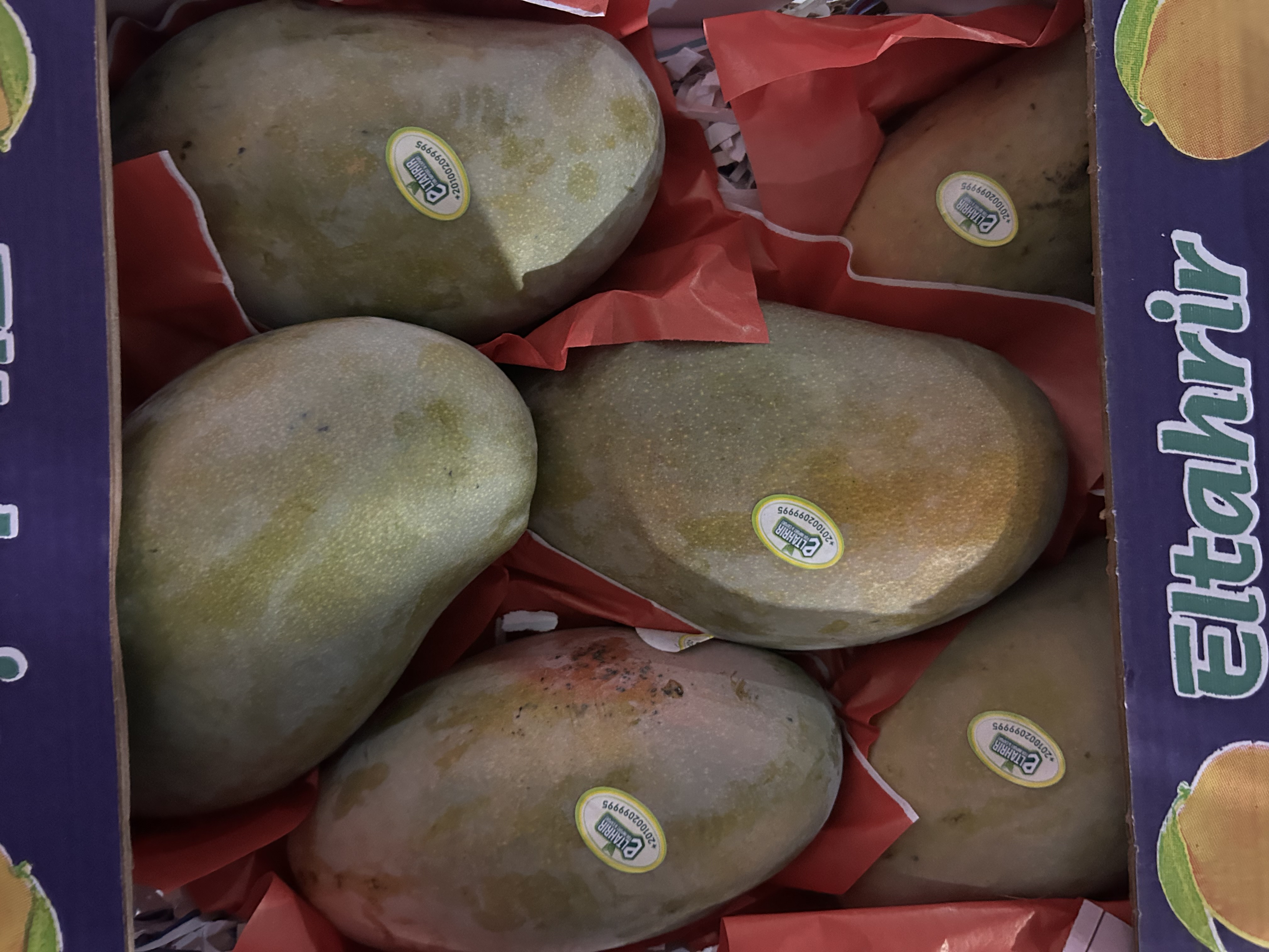 Premium Yasmin Mango Egypt 3 Kg 
