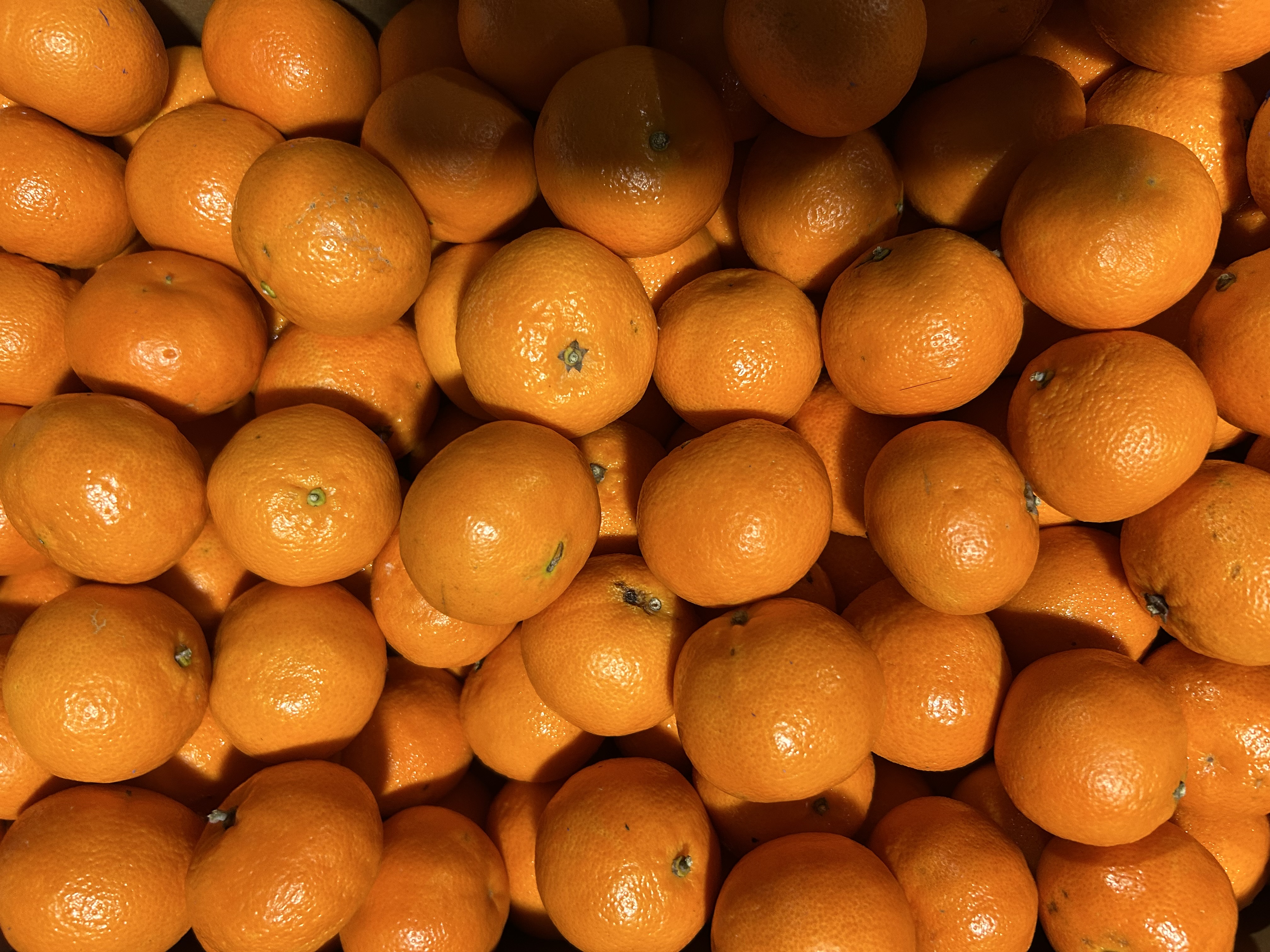 Fresh Oranges
