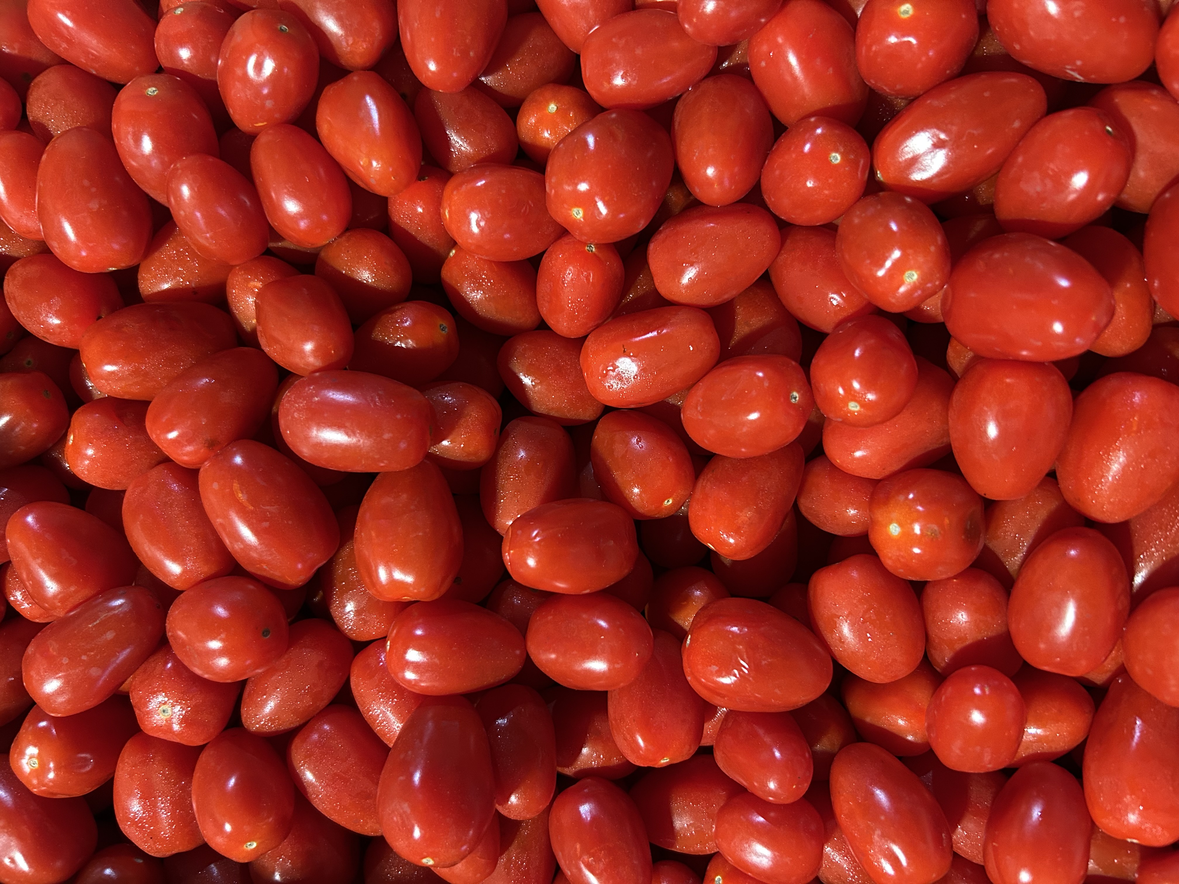 Fresh Grape Tomatoes