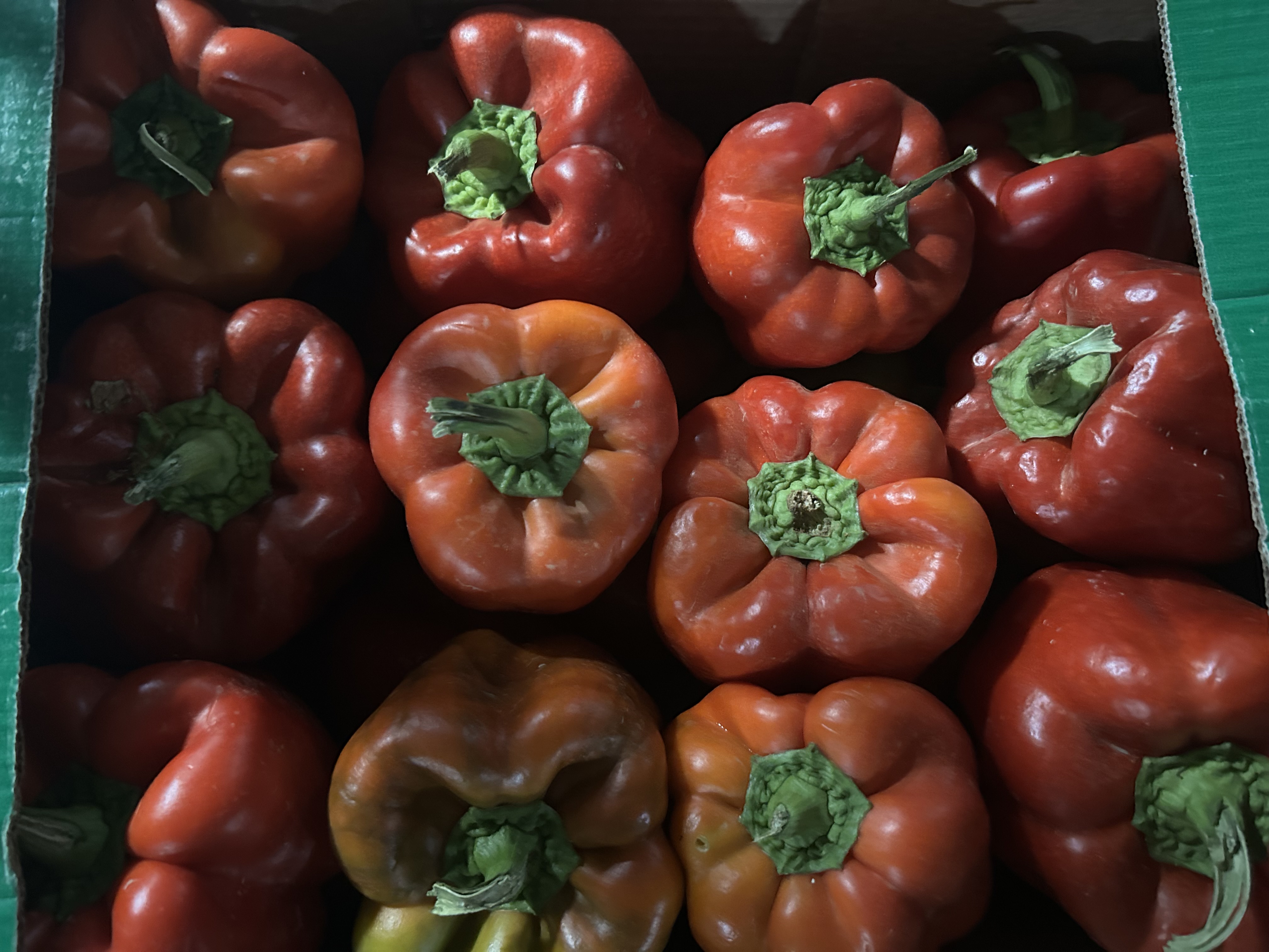 Fresh Red Bell Peppers
