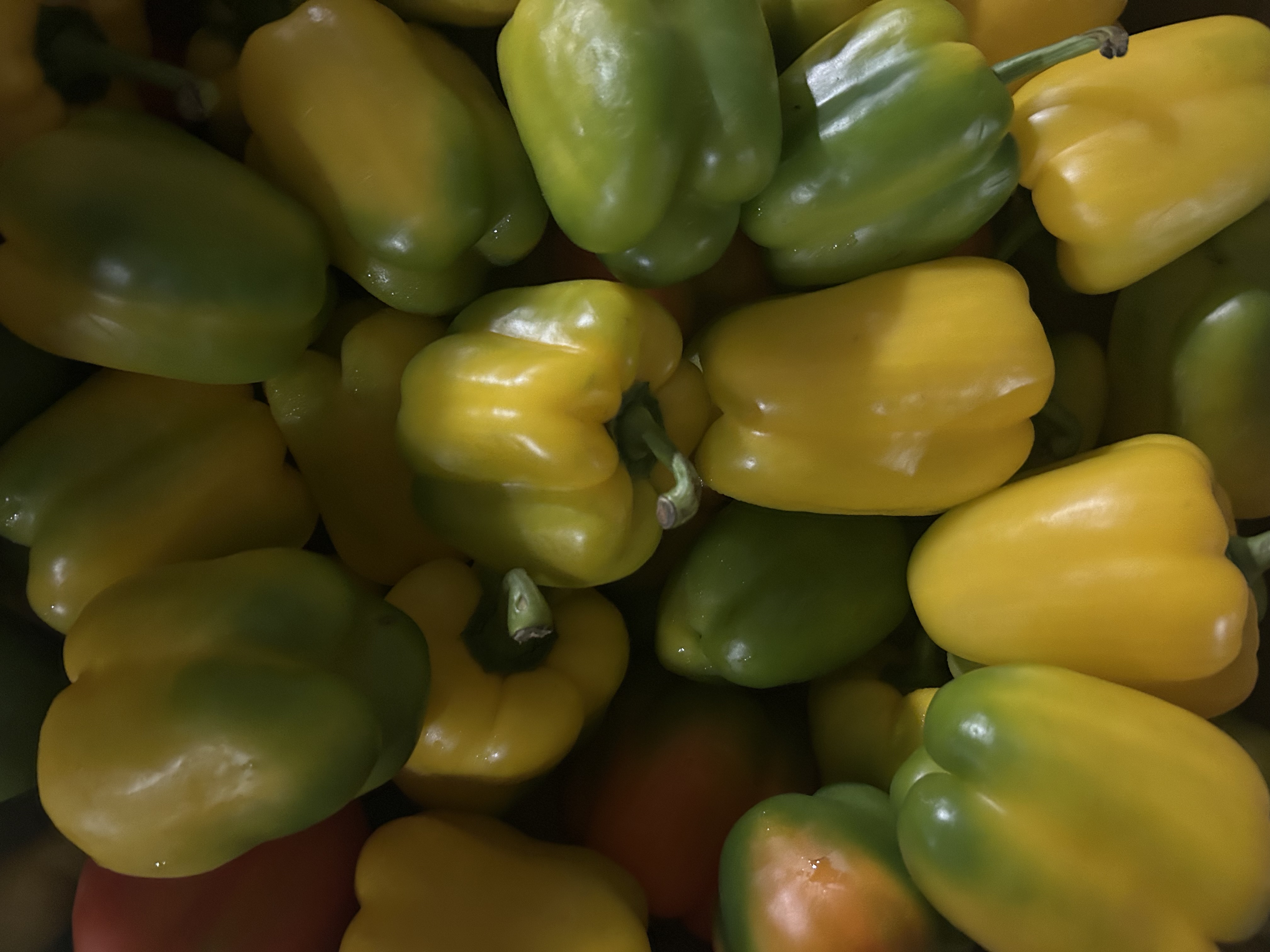 Fresh Yellow and Green Bell Peppers