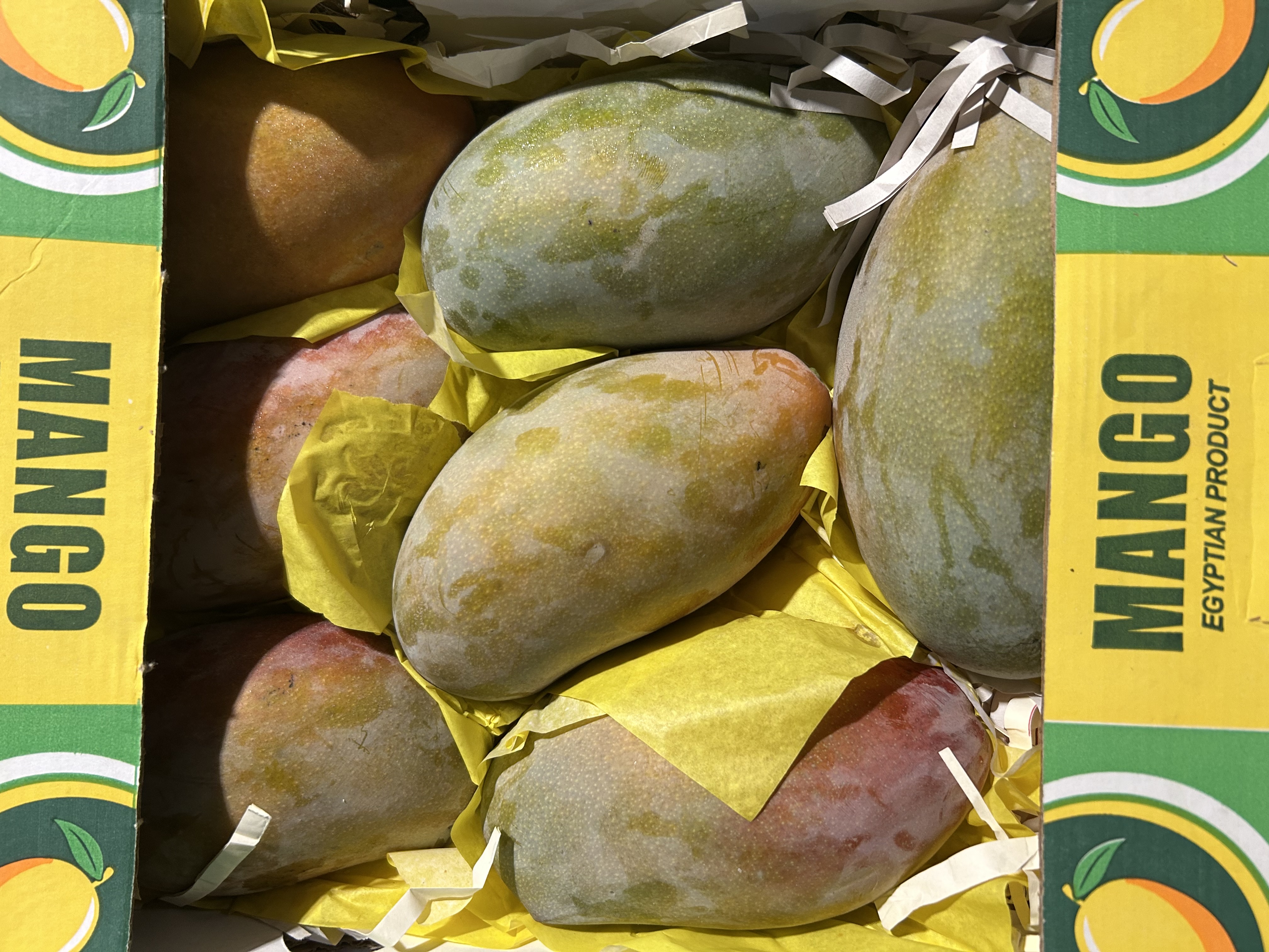 Fresh Egyptian Mangoes
