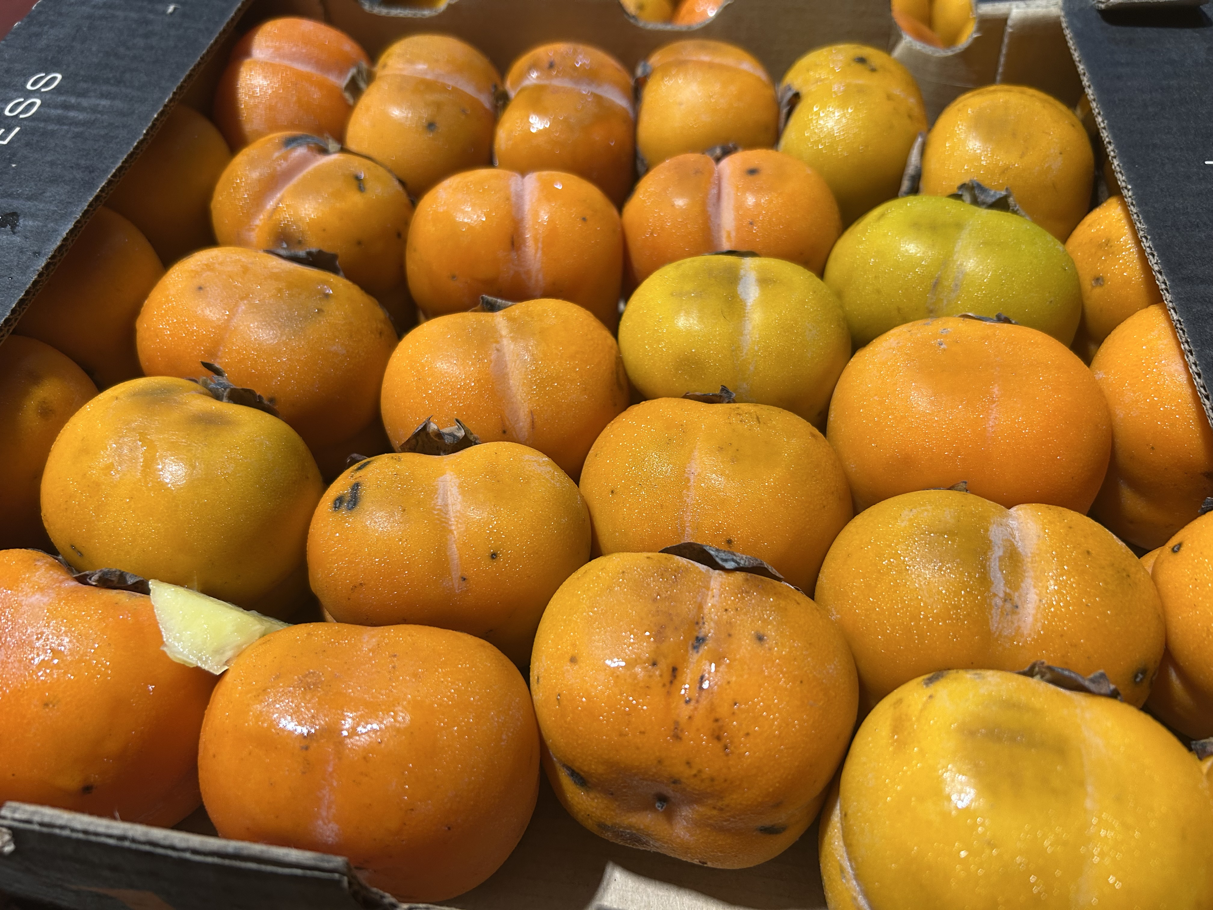 Fresh Persimmons
