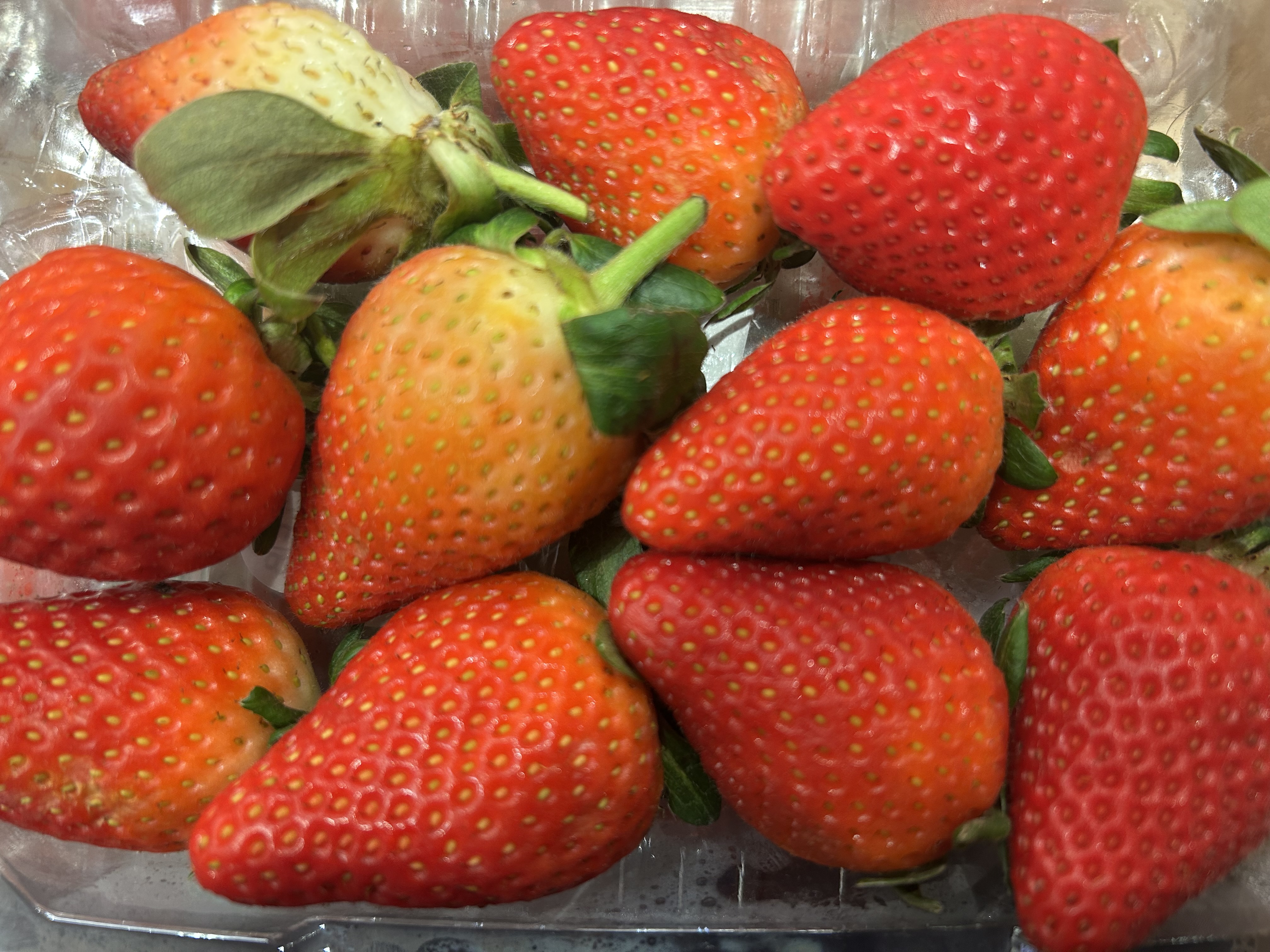 Fresh Strawberries 