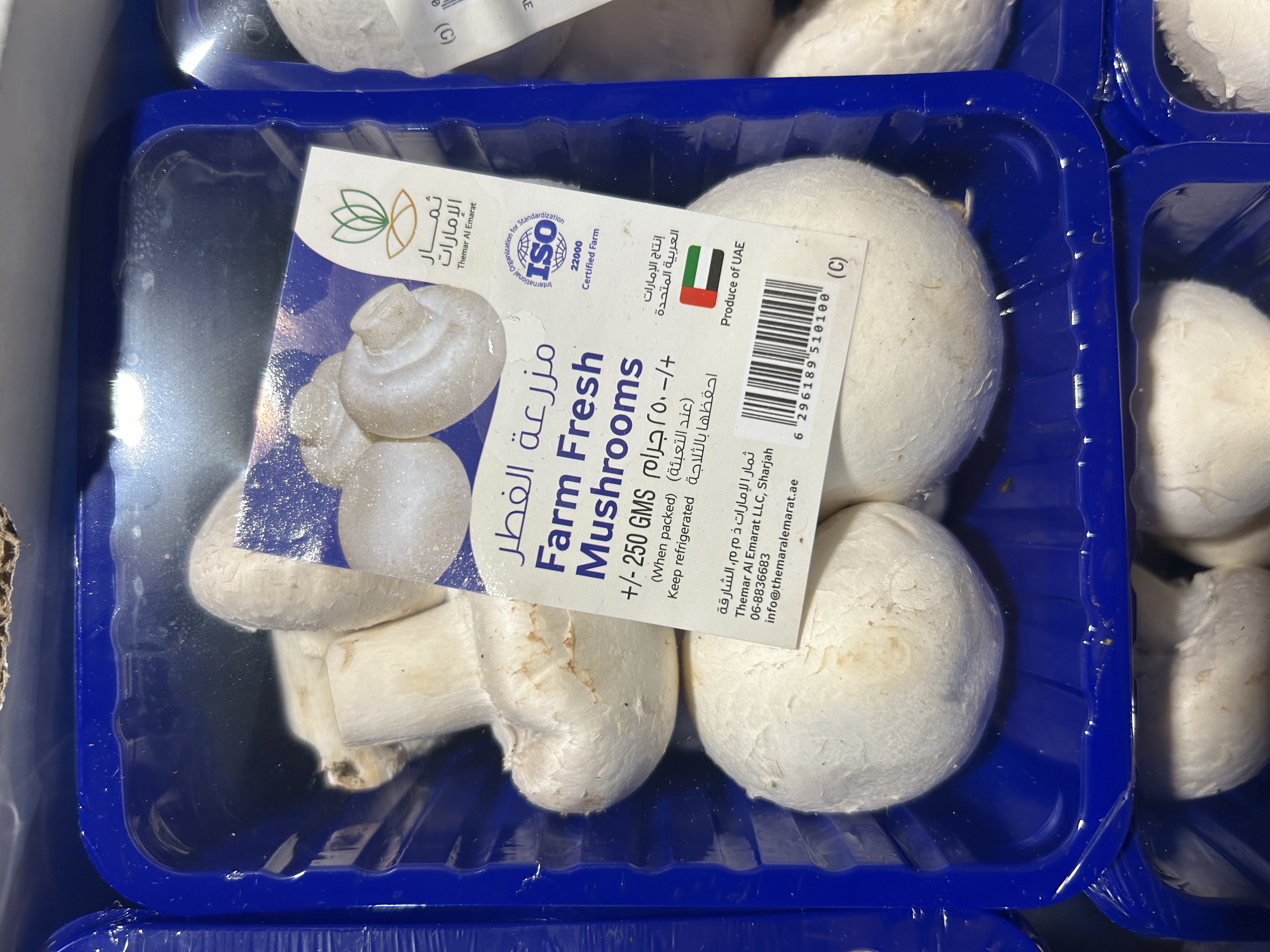 Farm Fresh Mushrooms