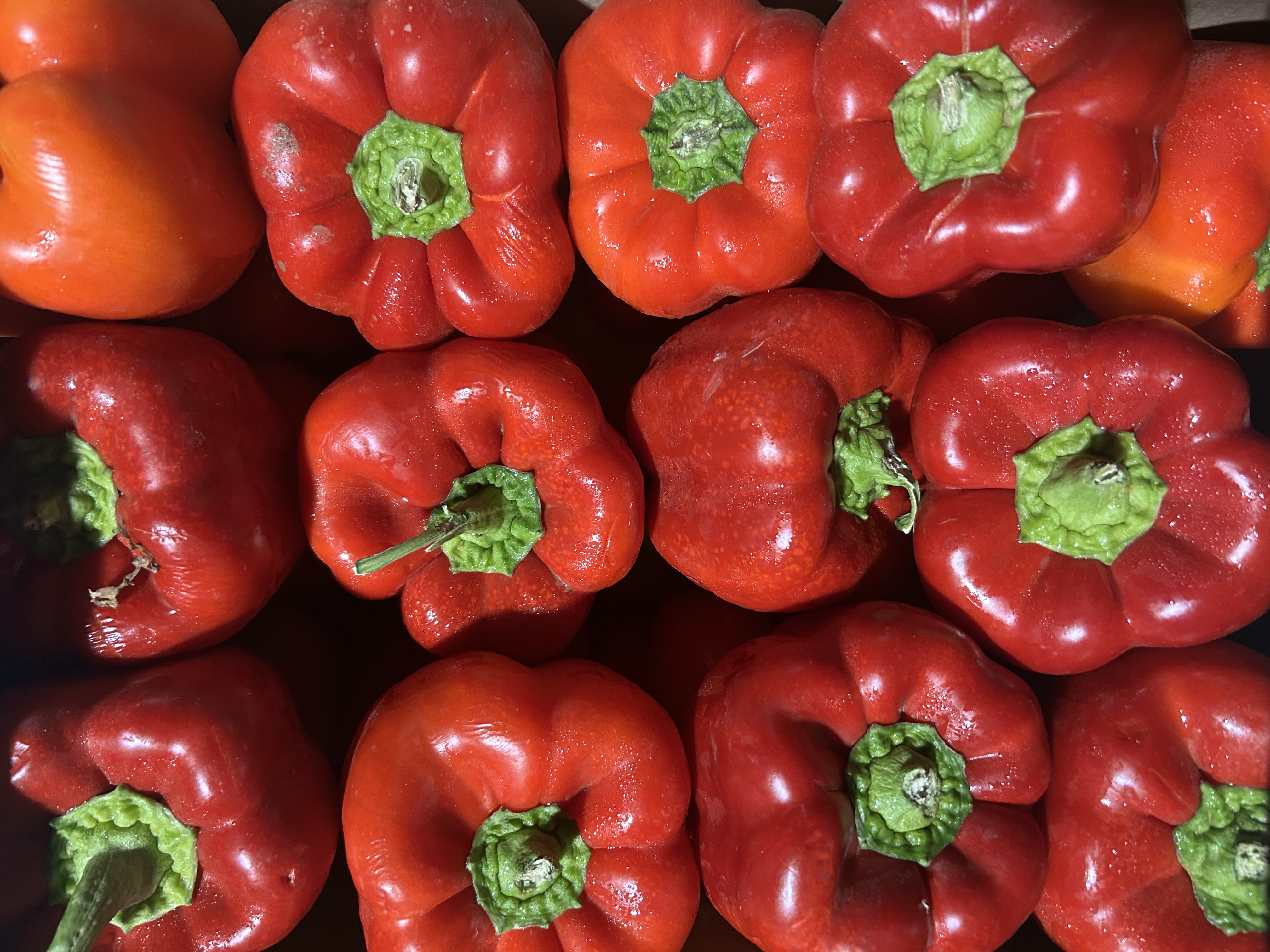 Fresh Red Bell Peppers