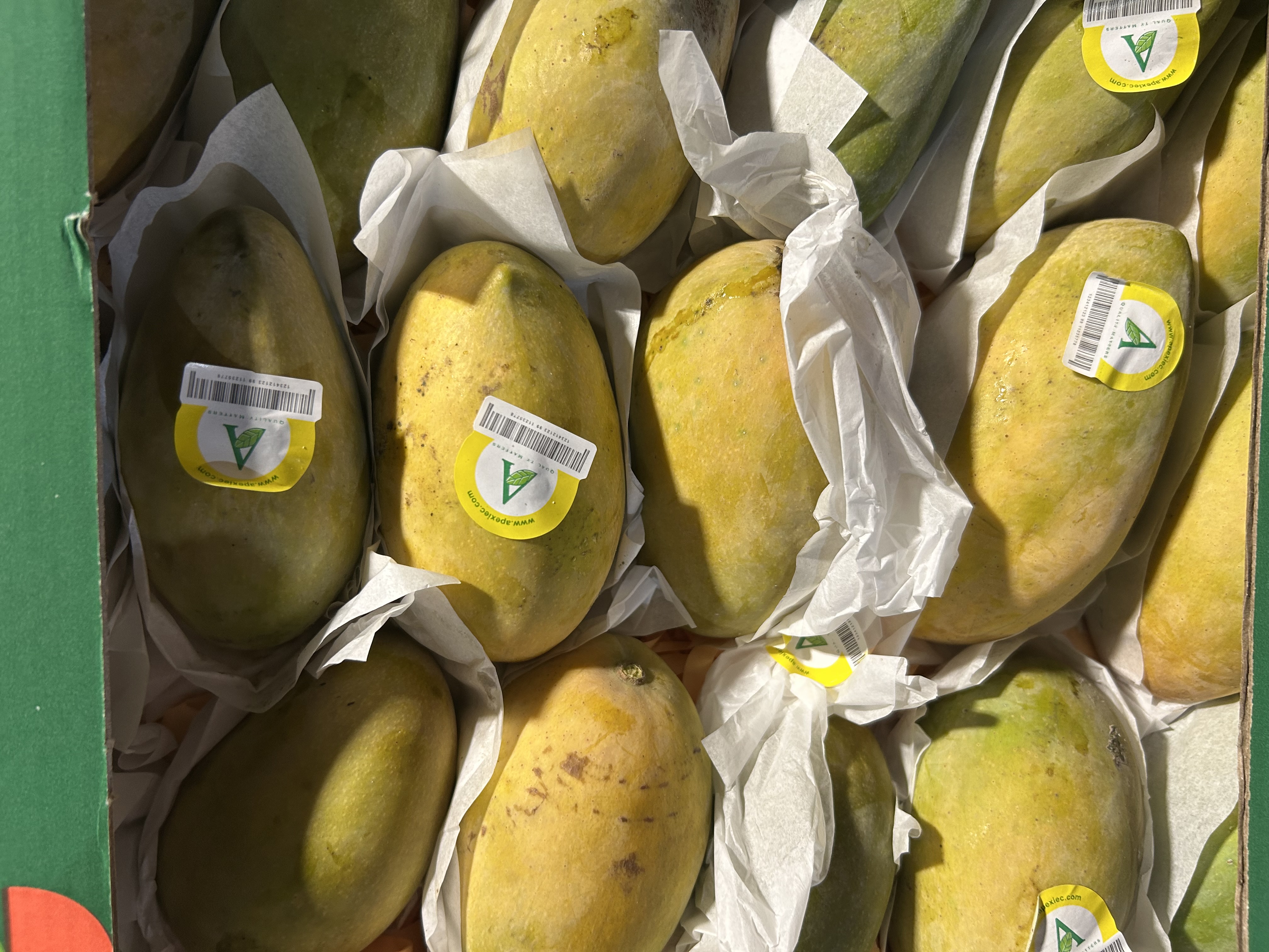 Fresh Mangoes
