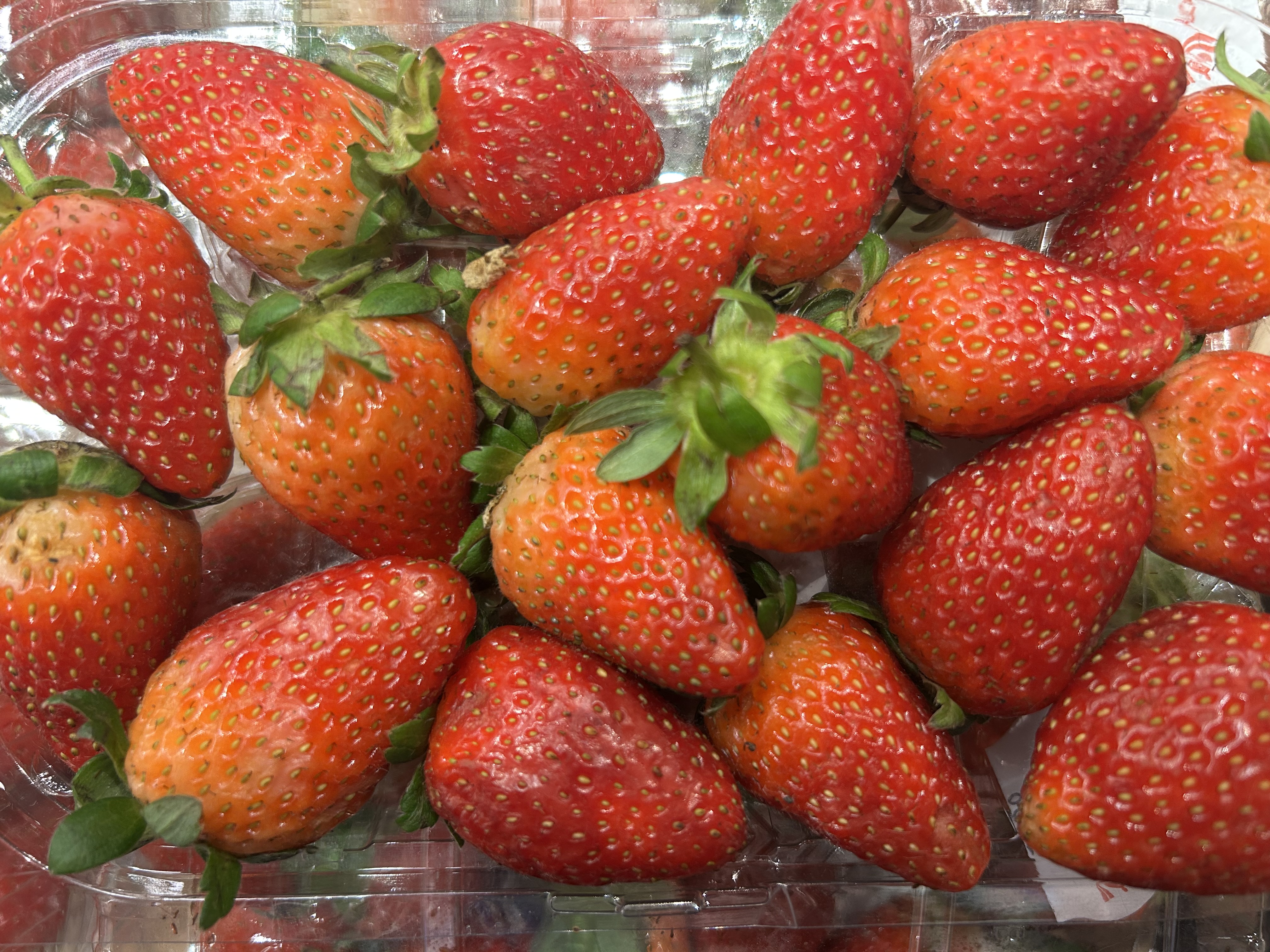 Fresh Strawberries SA