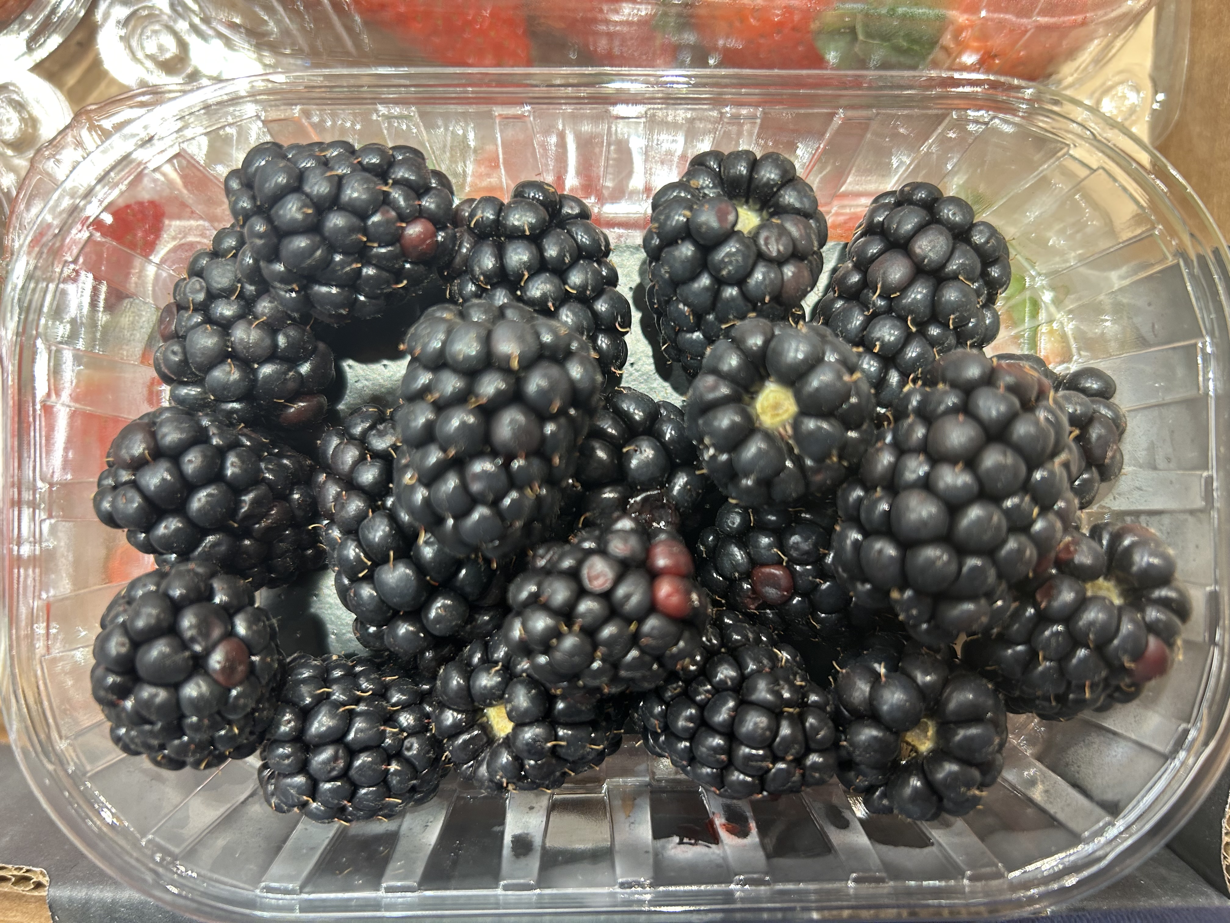 Fresh Blackberries
