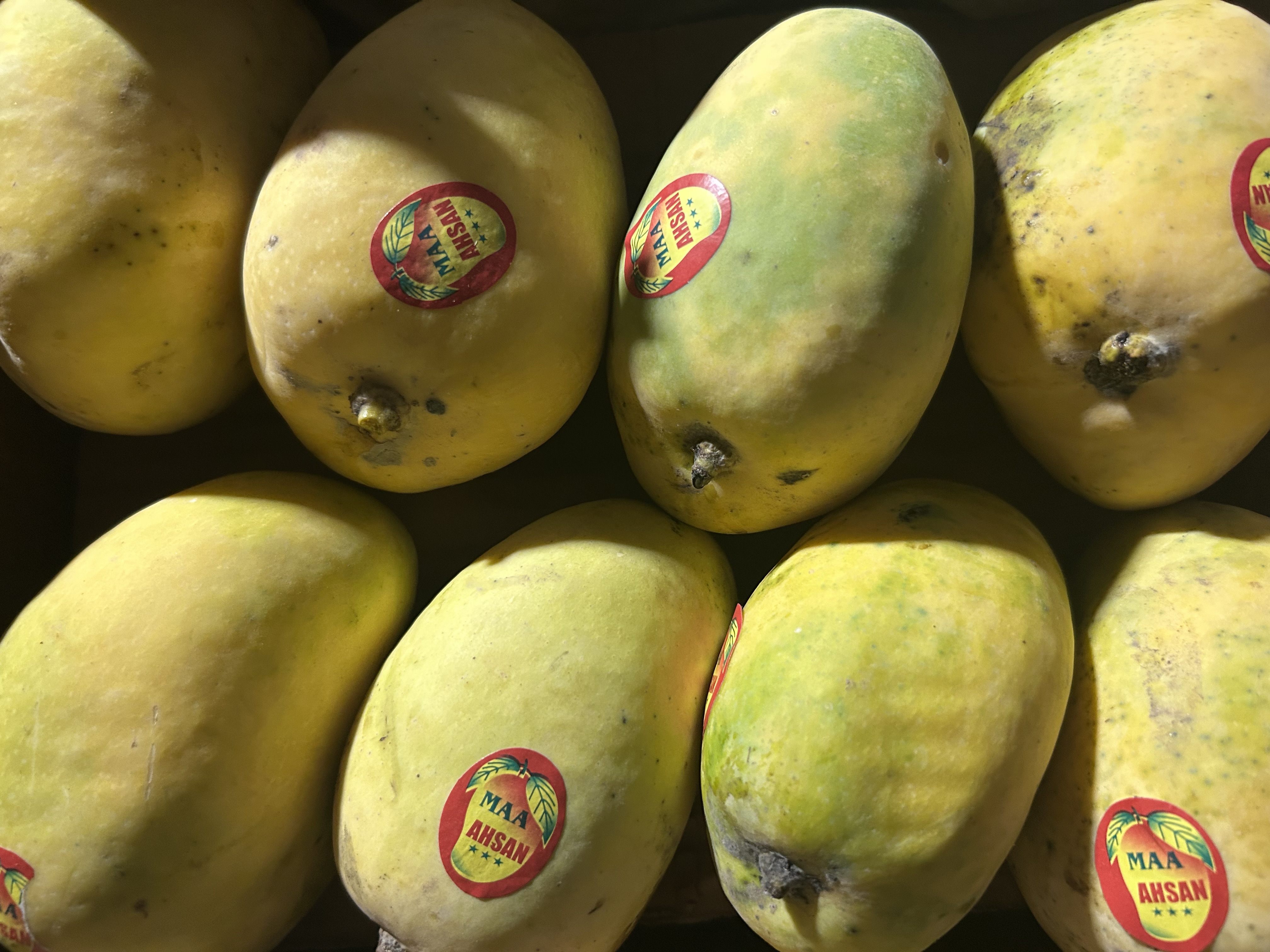 Mango Chuansa 6 Kg Carton