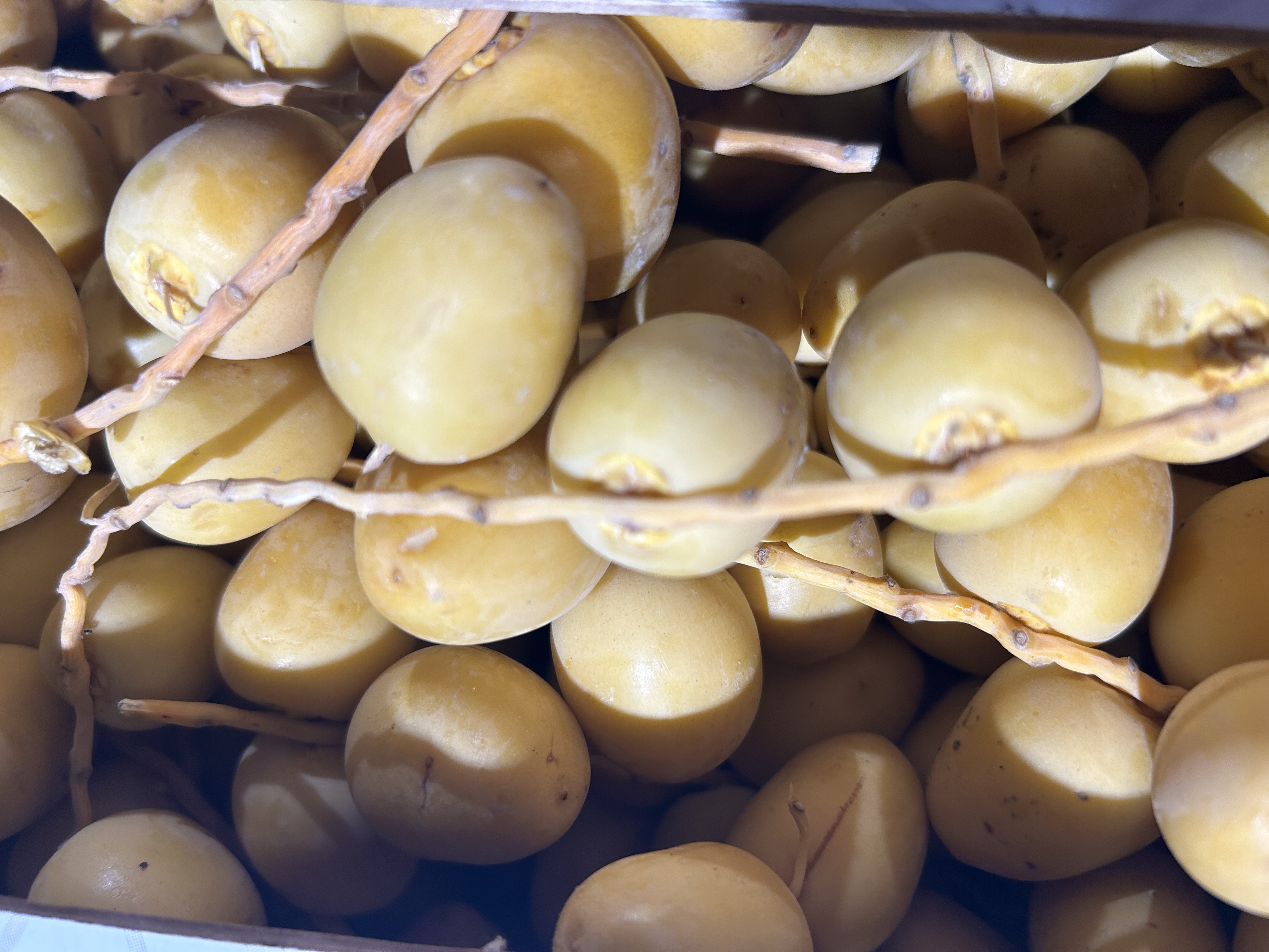 Fresh Yellow Dates
