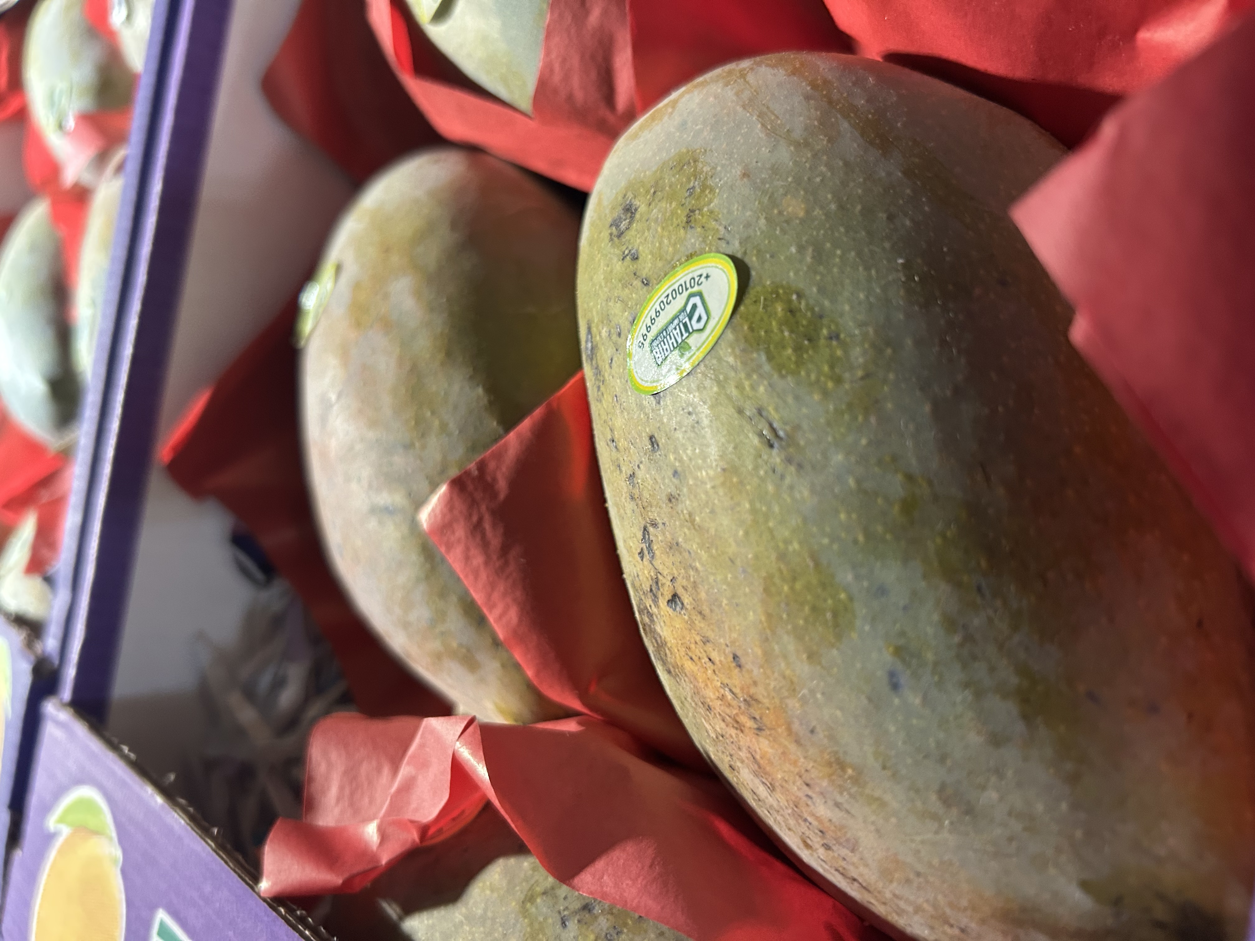 Crimson Egyptian Mango