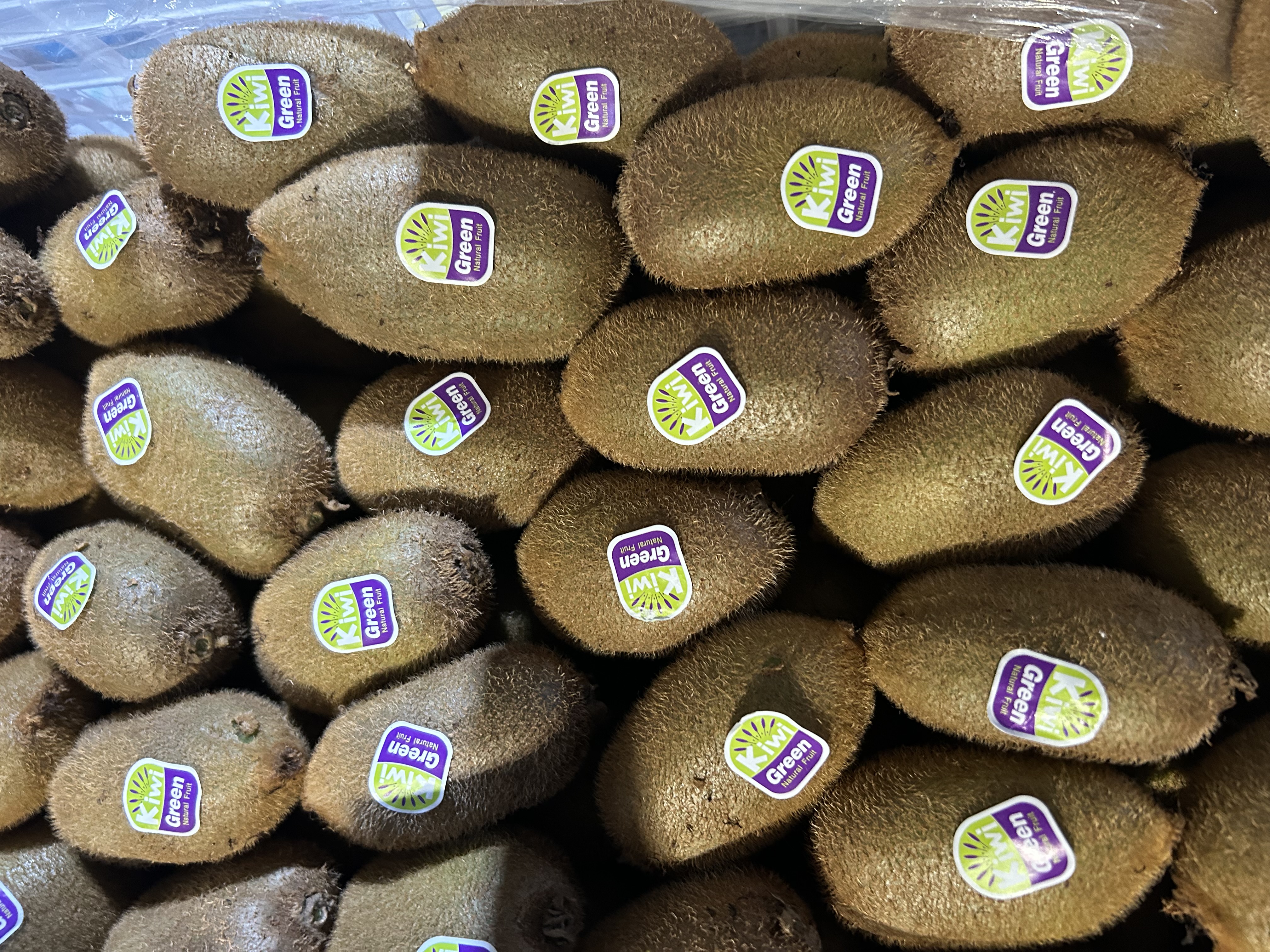 Fresh Kiwi Fruit