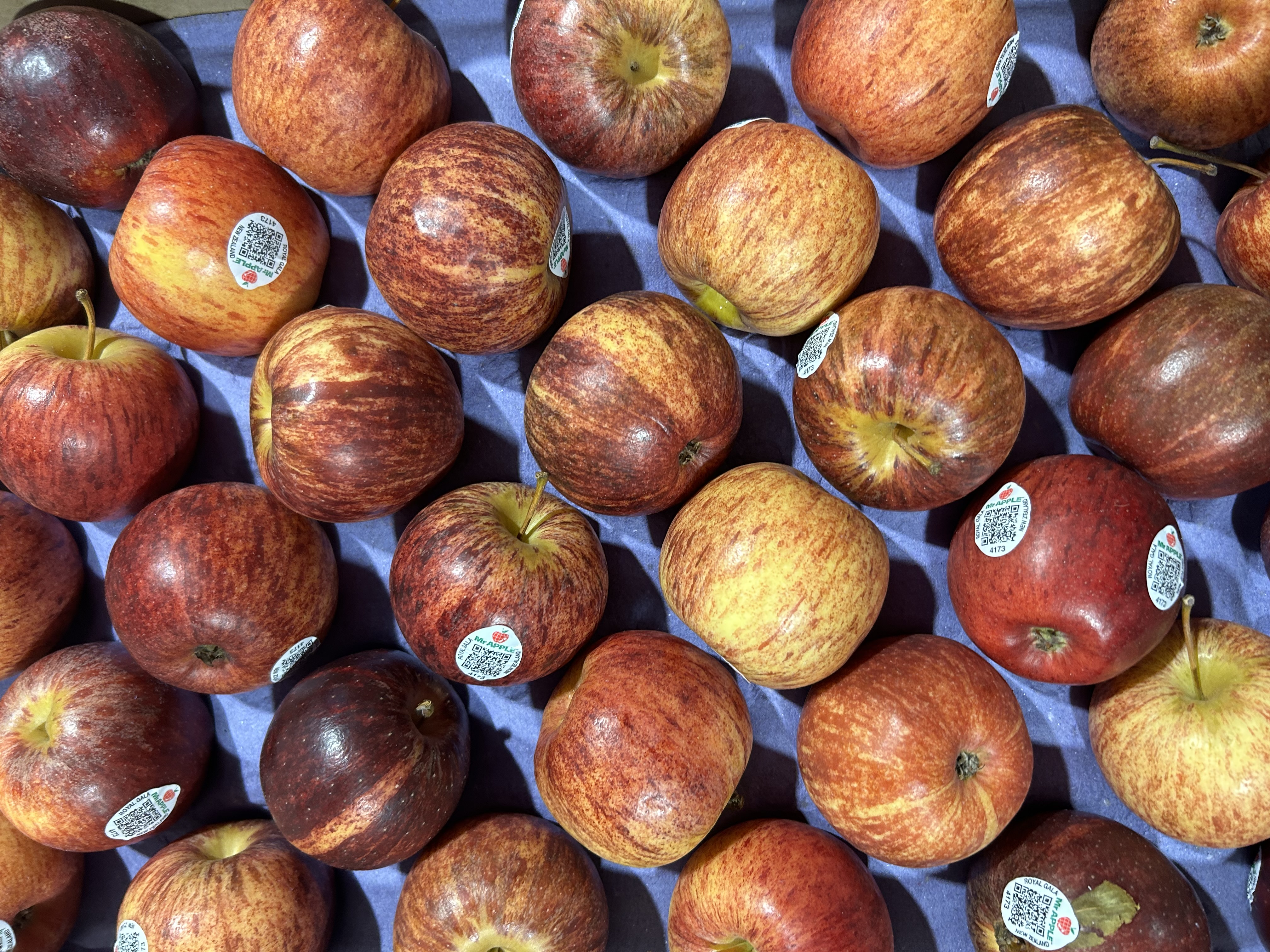 Fresh Red Apples