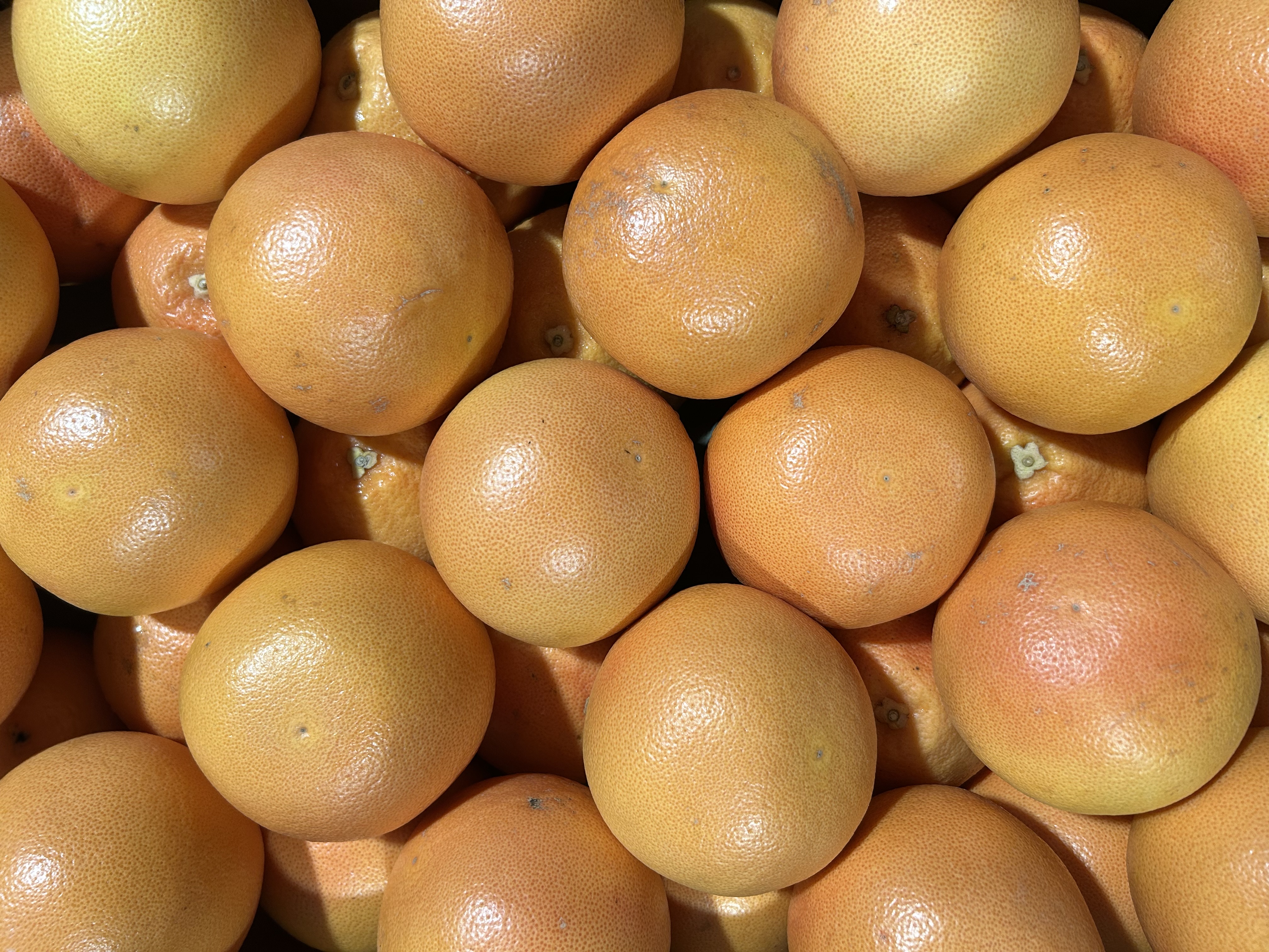 Fresh Grapefruit