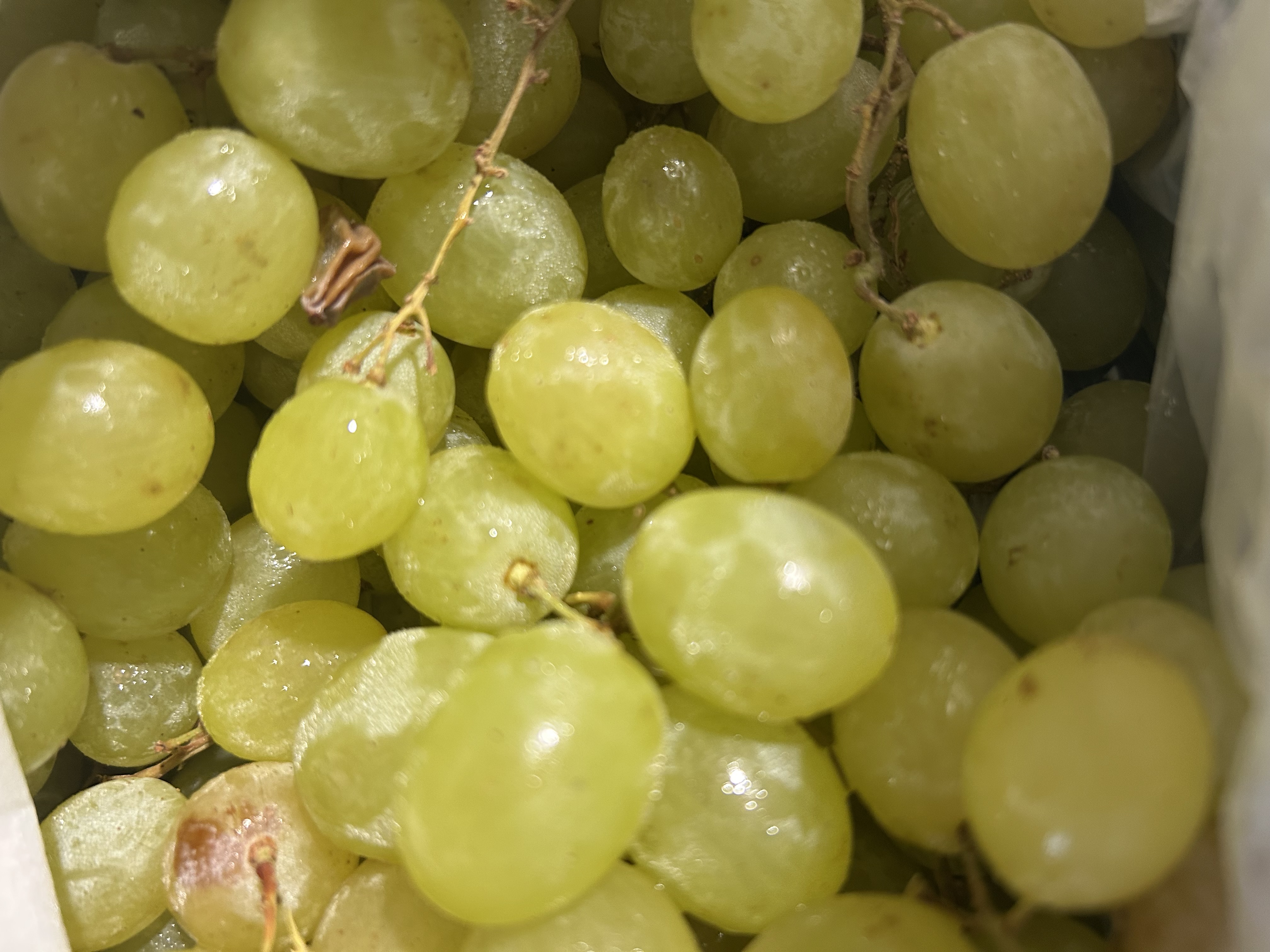 Fresh Green Grapes