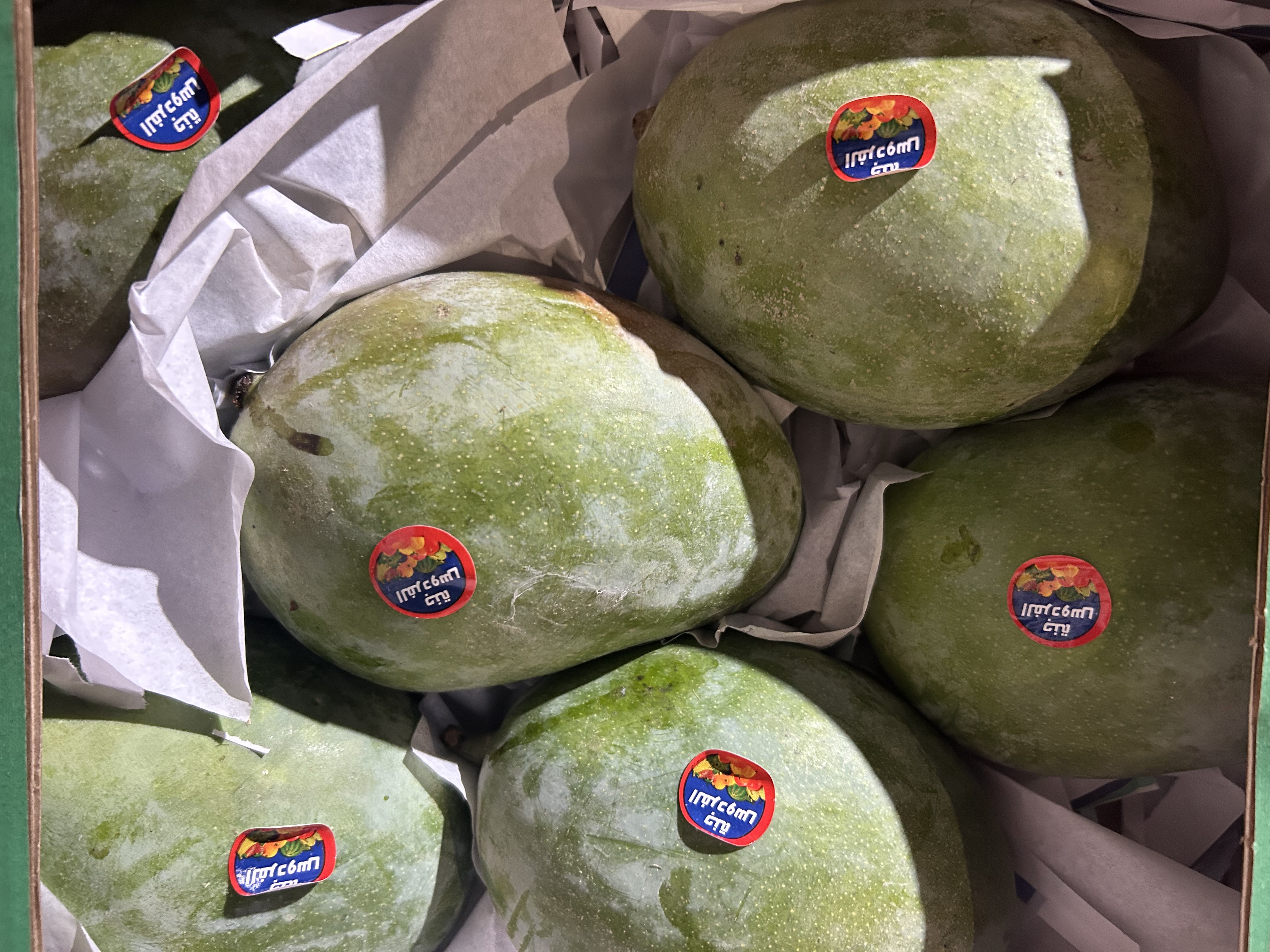 Green Mangoes