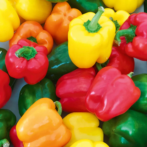 Fresh Bell Peppers