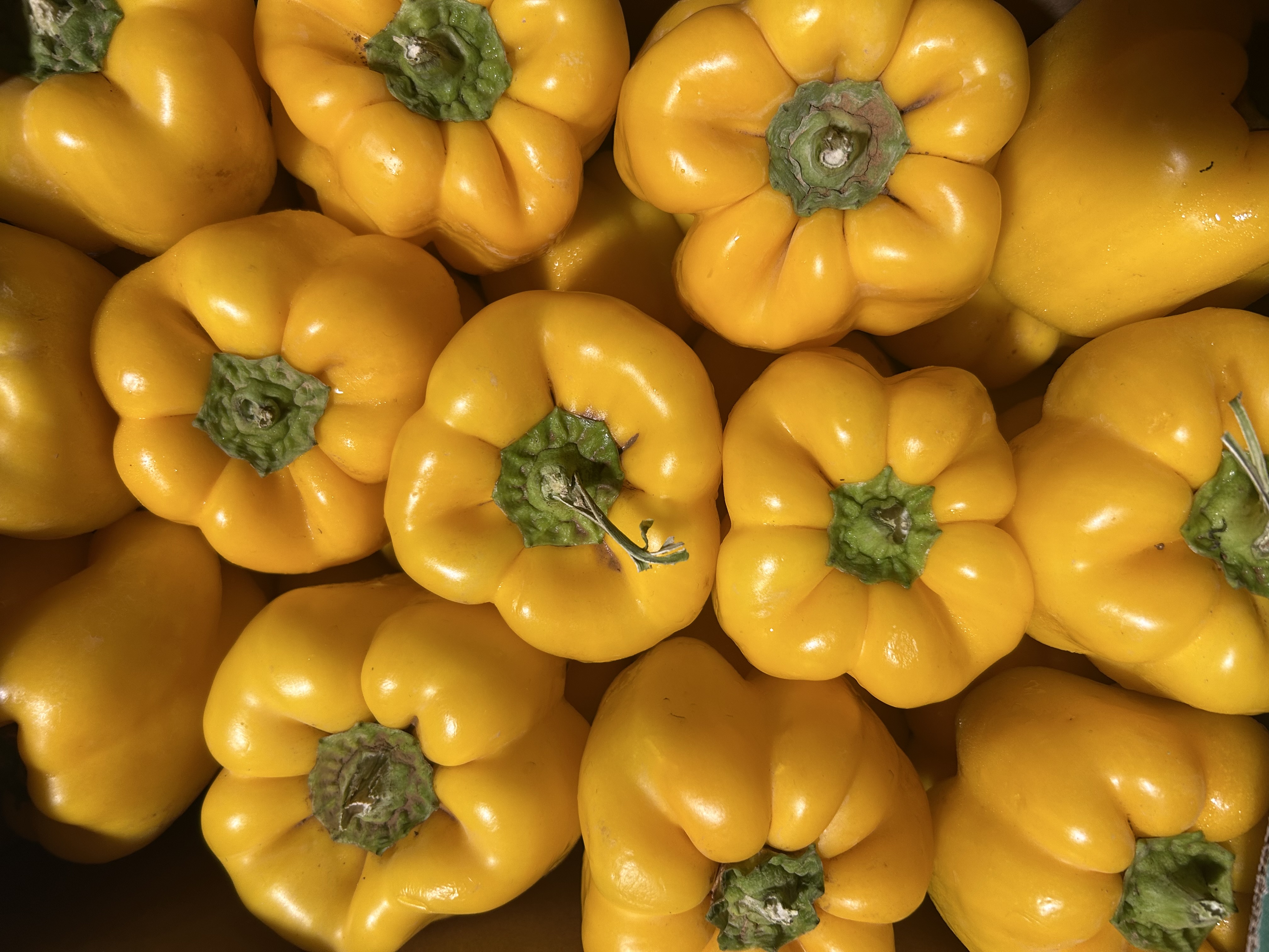 Fresh Yellow Bell Peppers