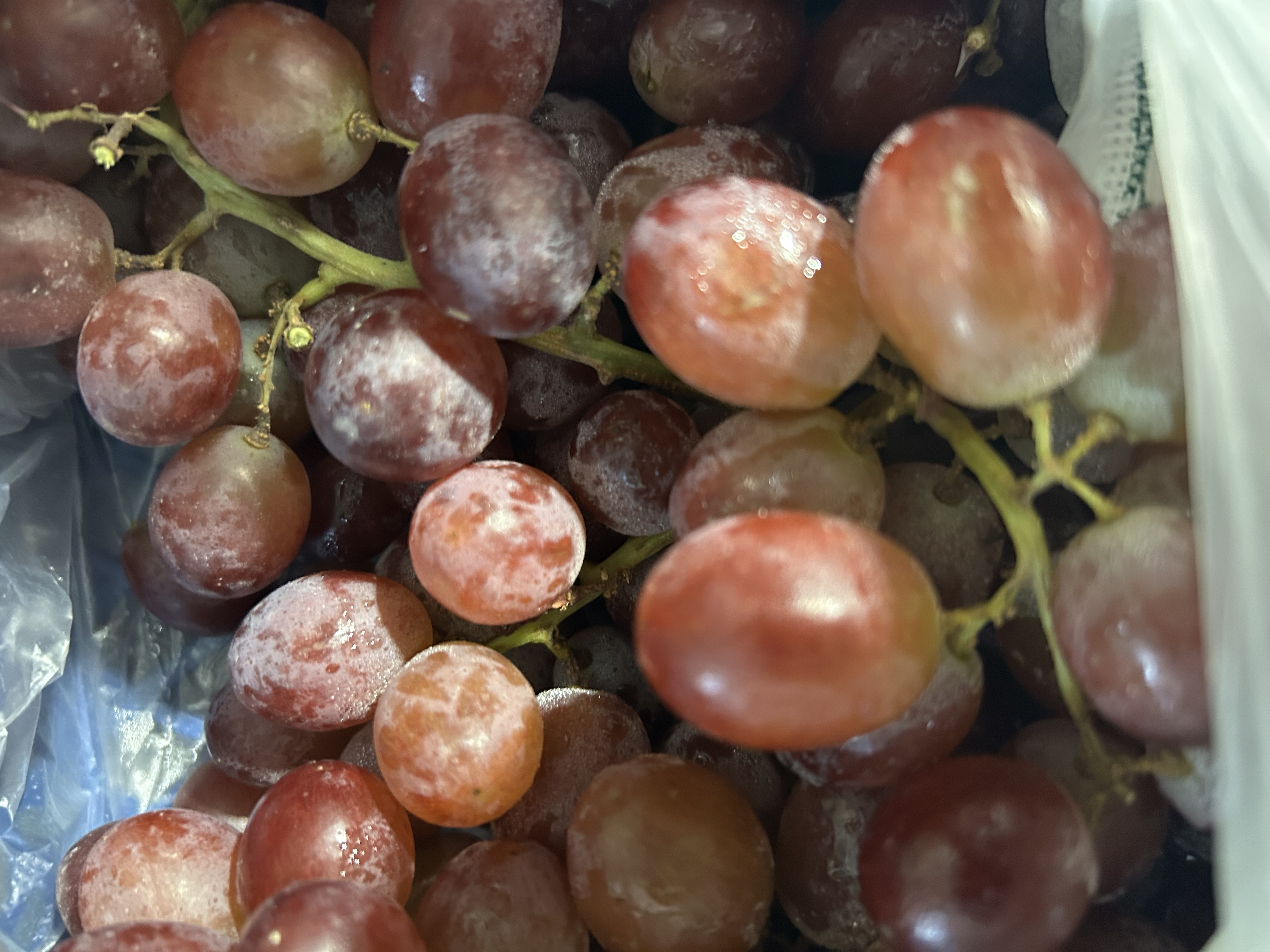 Fresh Red Grapes
