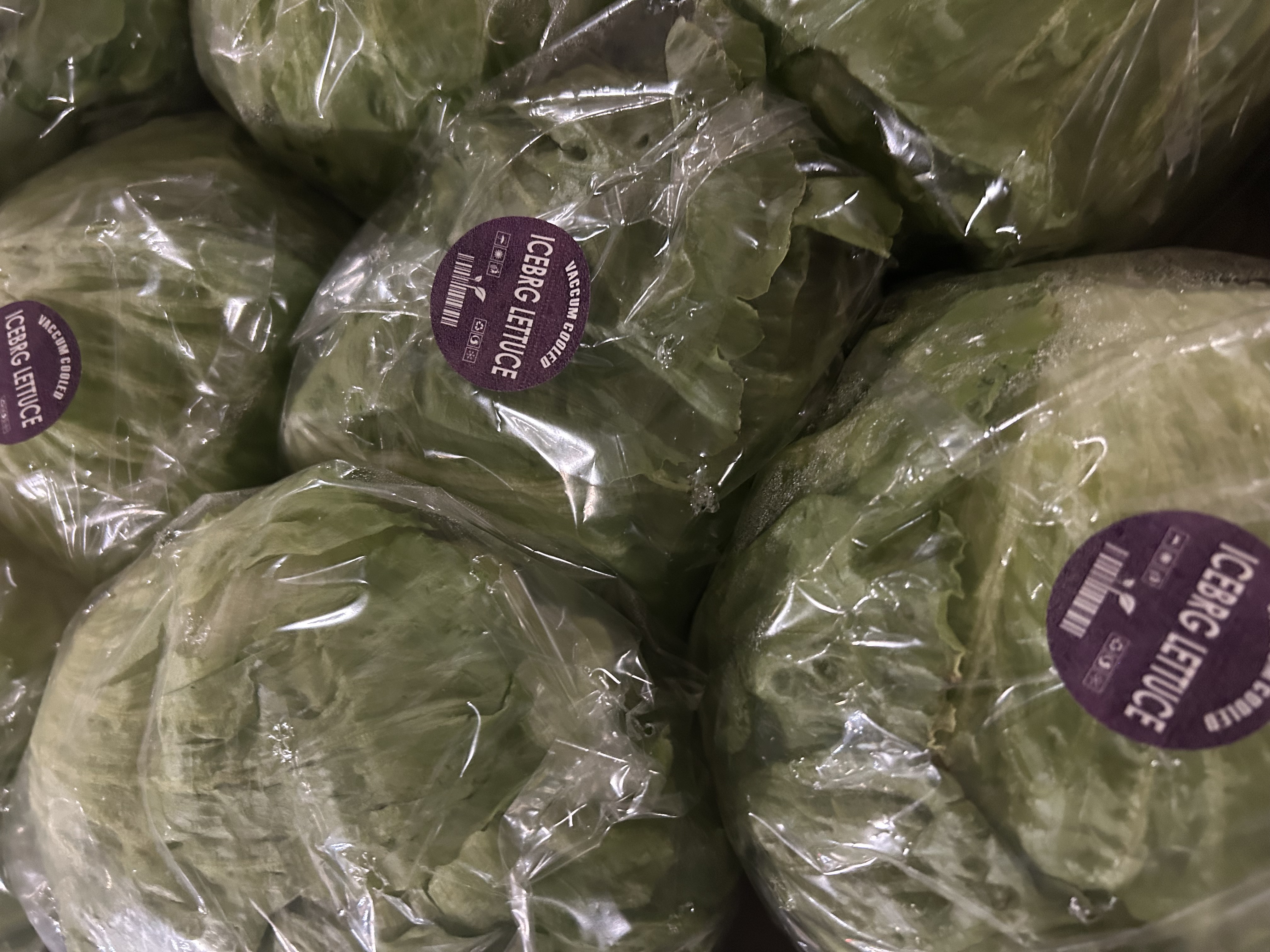 Iceberg Lettuce