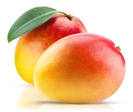 Fresh Mangoes Egypt