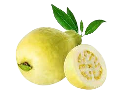Fresh Guava