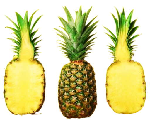 Fresh Pineapple
