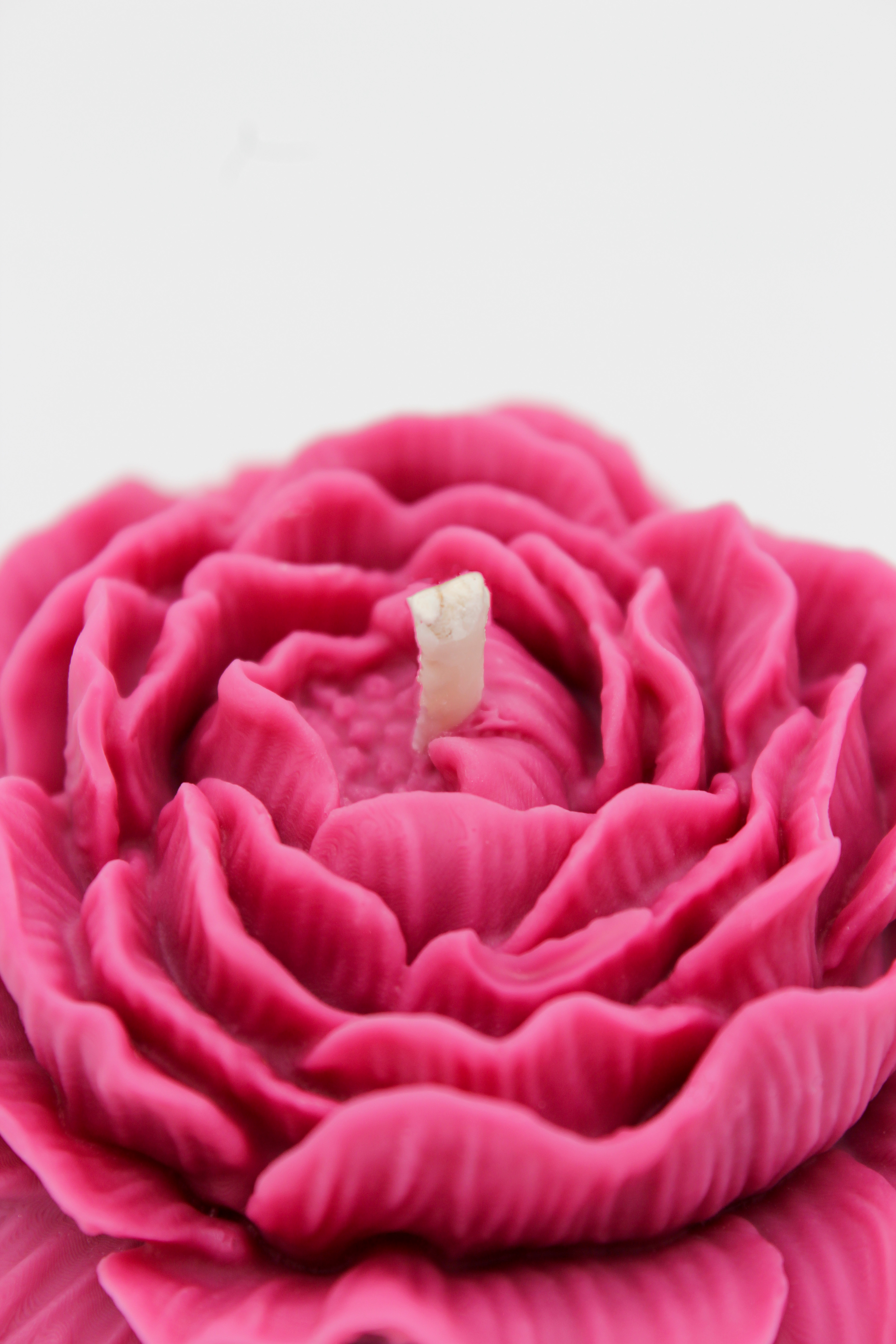 Duftblume „La Vie Est Belle“ 