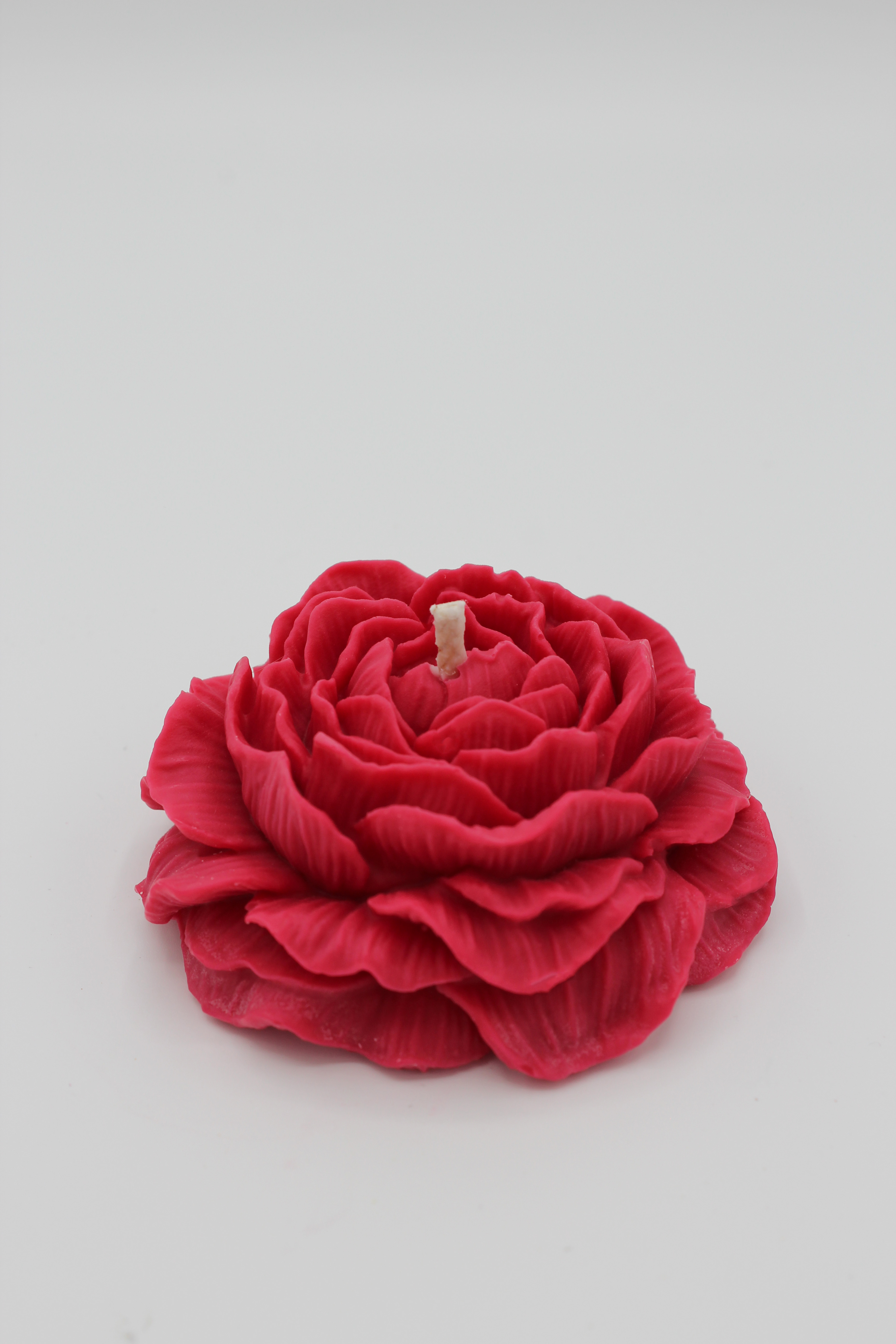 Duftblume „Baccarat Red“