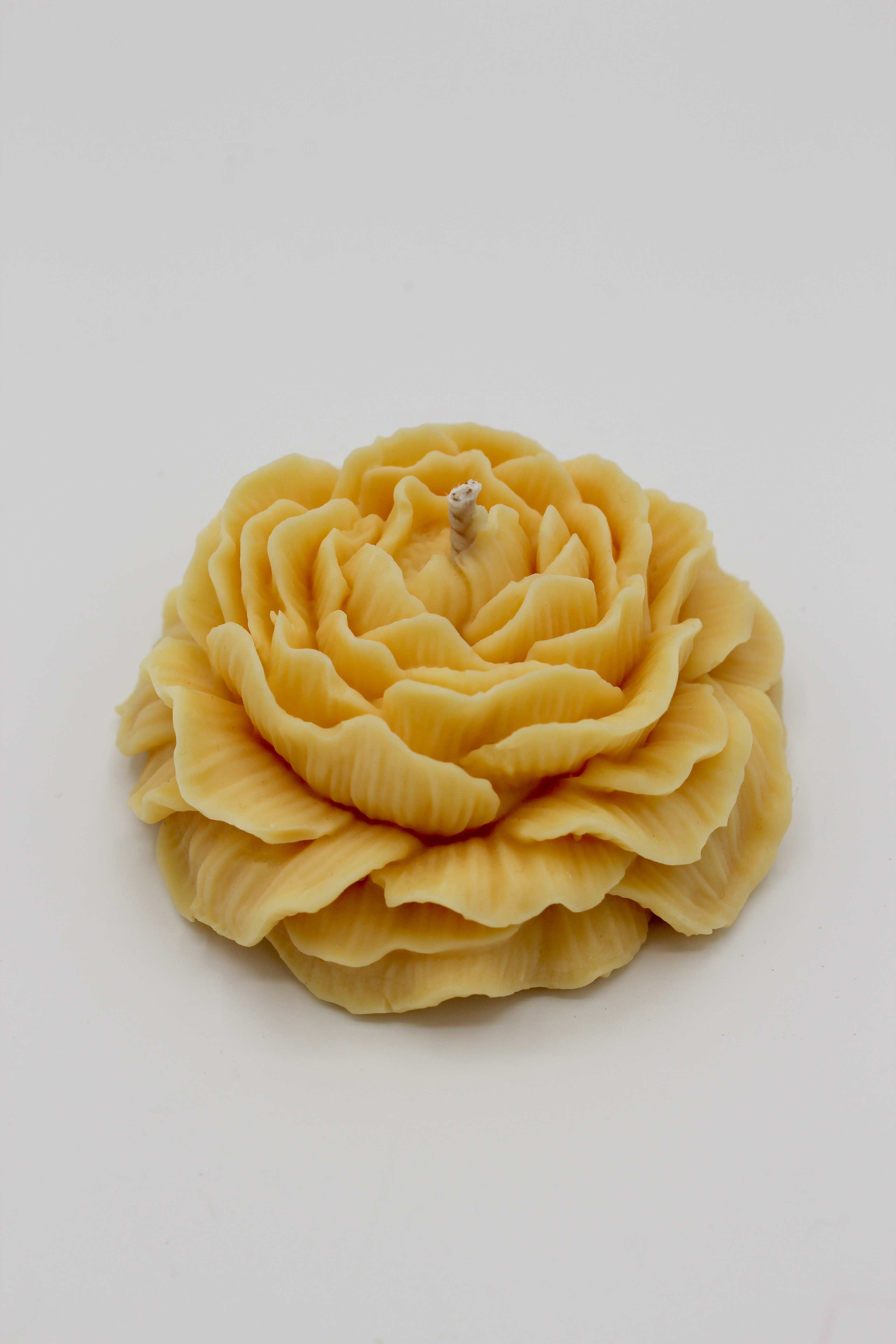 Duftblume „Jasmine Ritual“