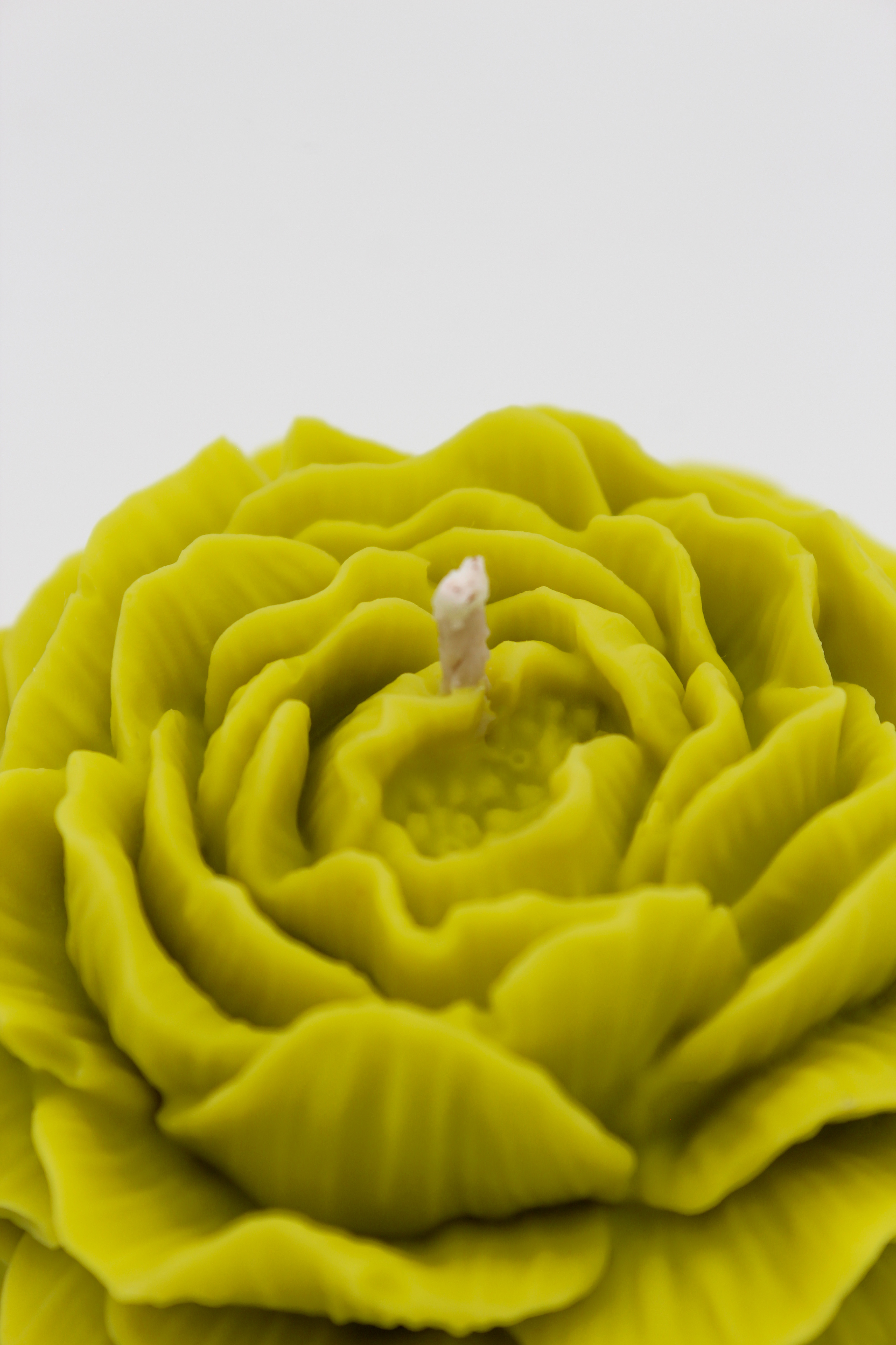 Duftblume „Velvet Oud“