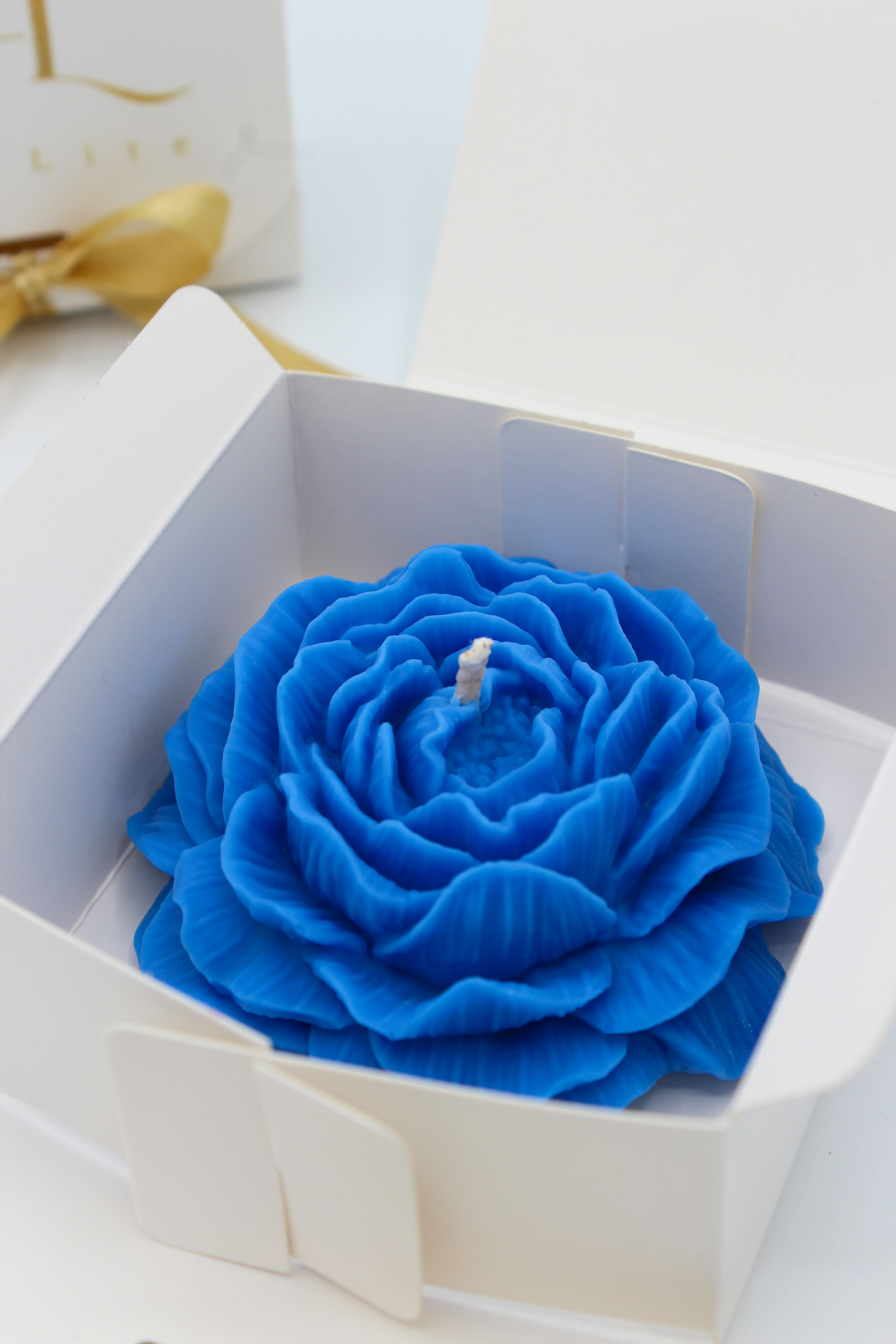 Duftblume „Altitude Noir“