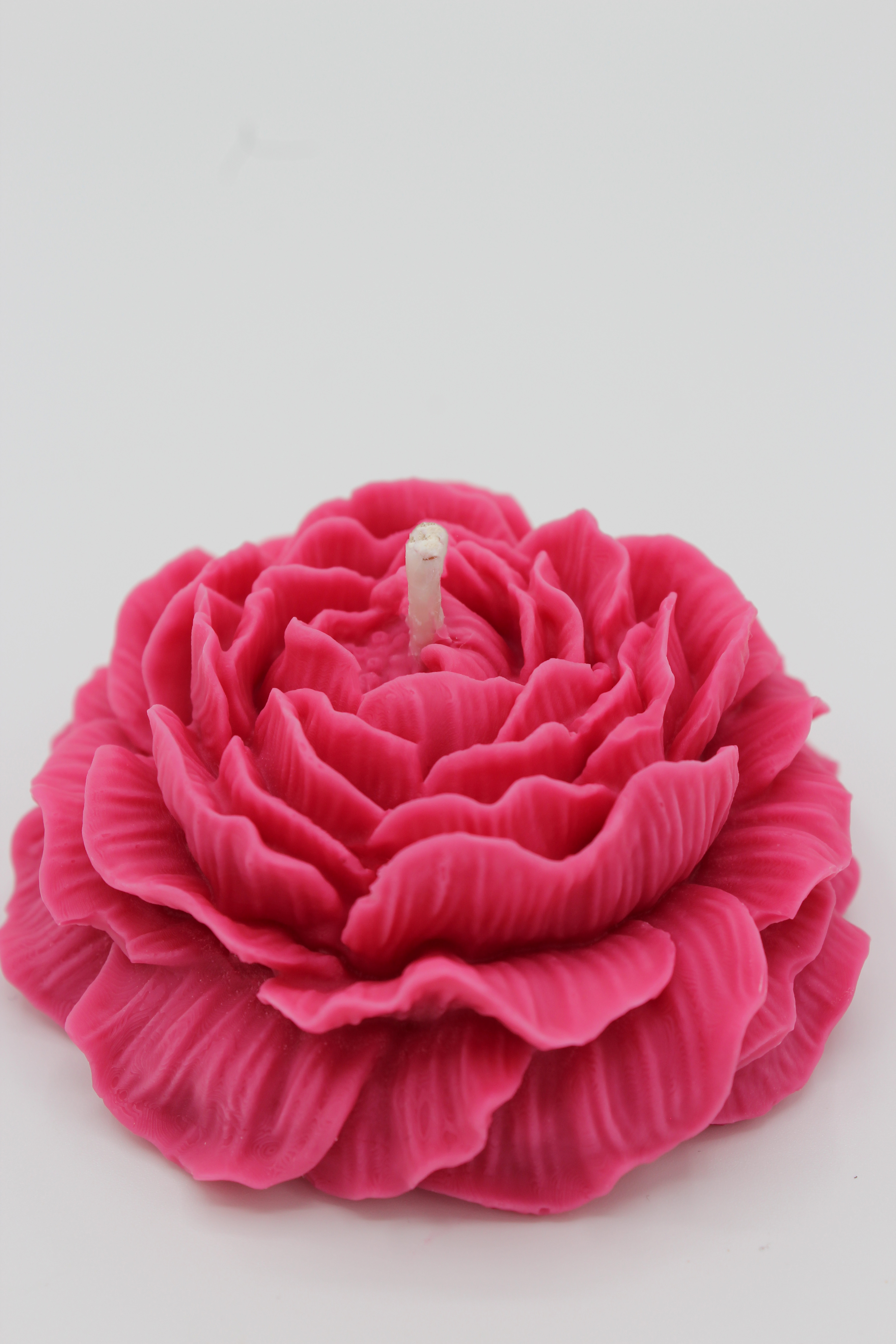 Duftblume „Santal Berry“