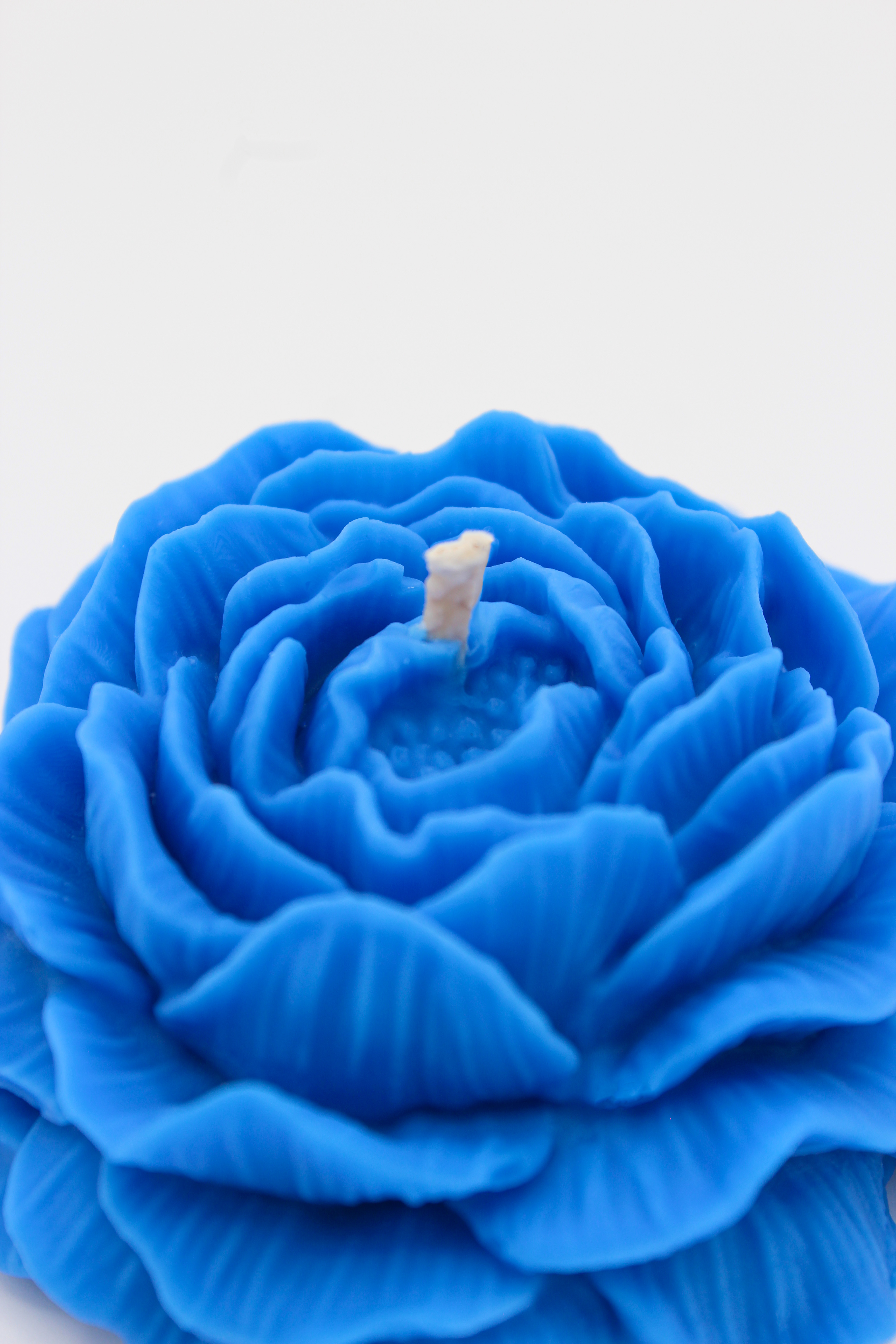 Duftblume „Altitude Noir“