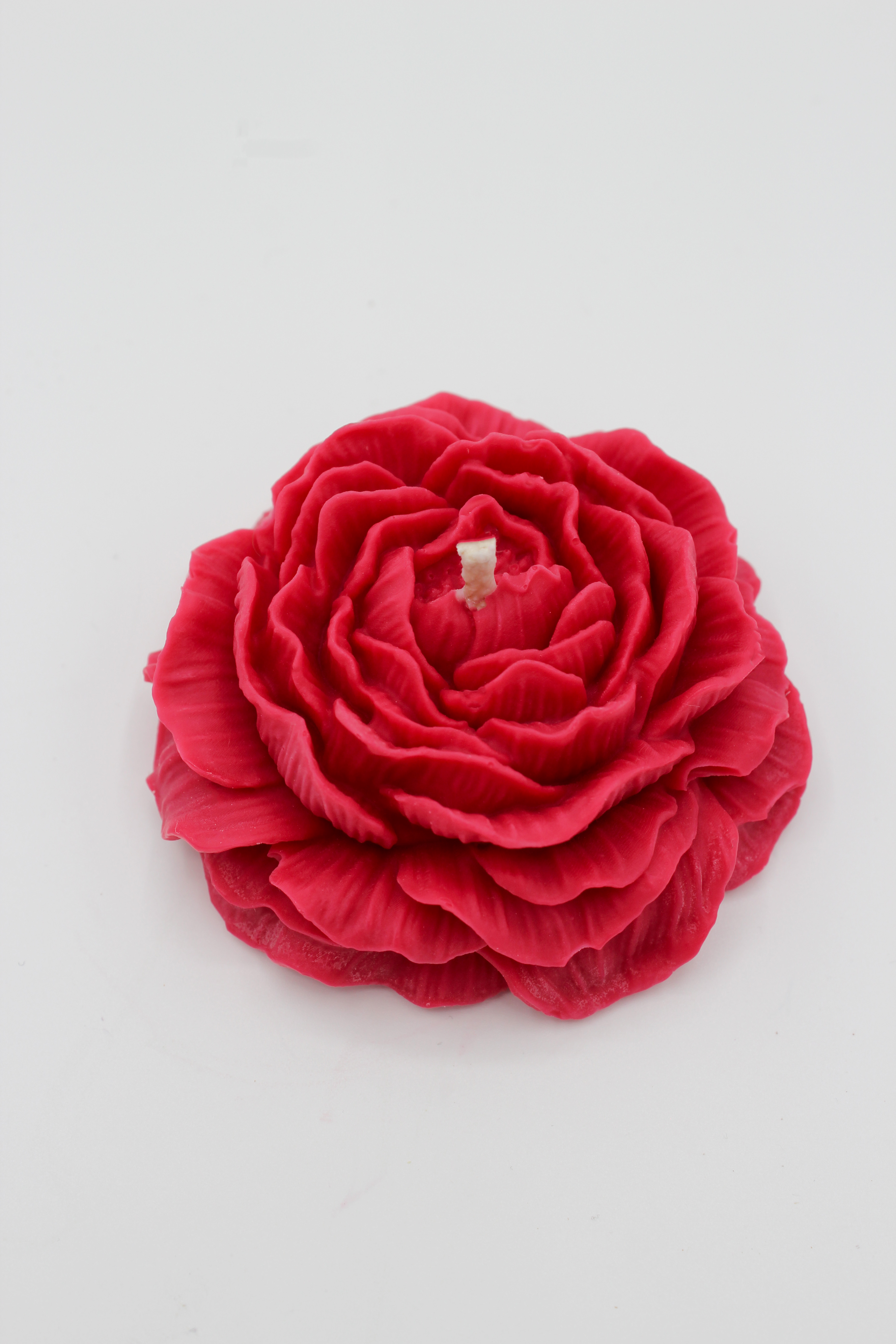 Duftblume „Baccarat Red“