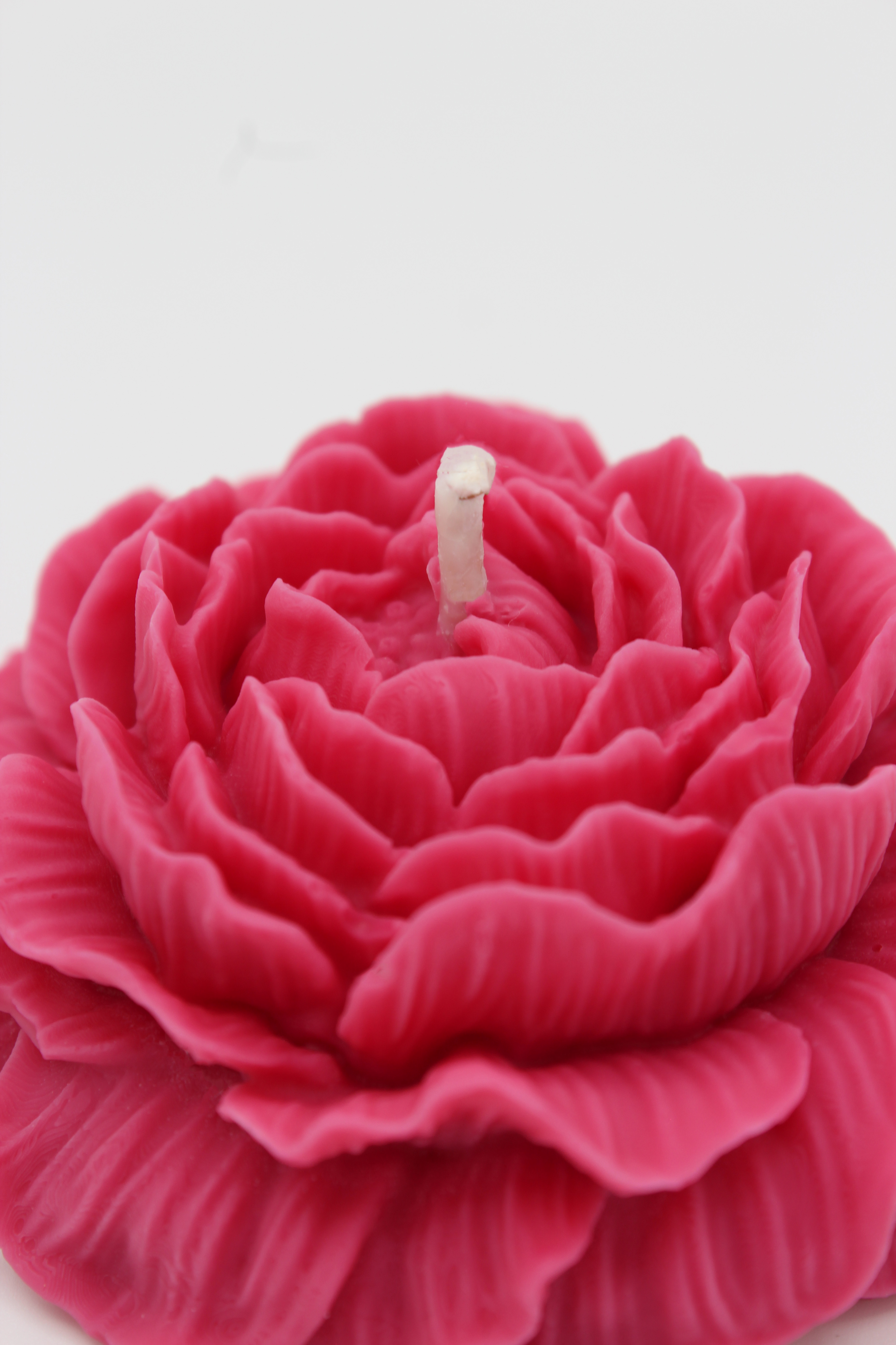 Duftblume „Santal Berry“