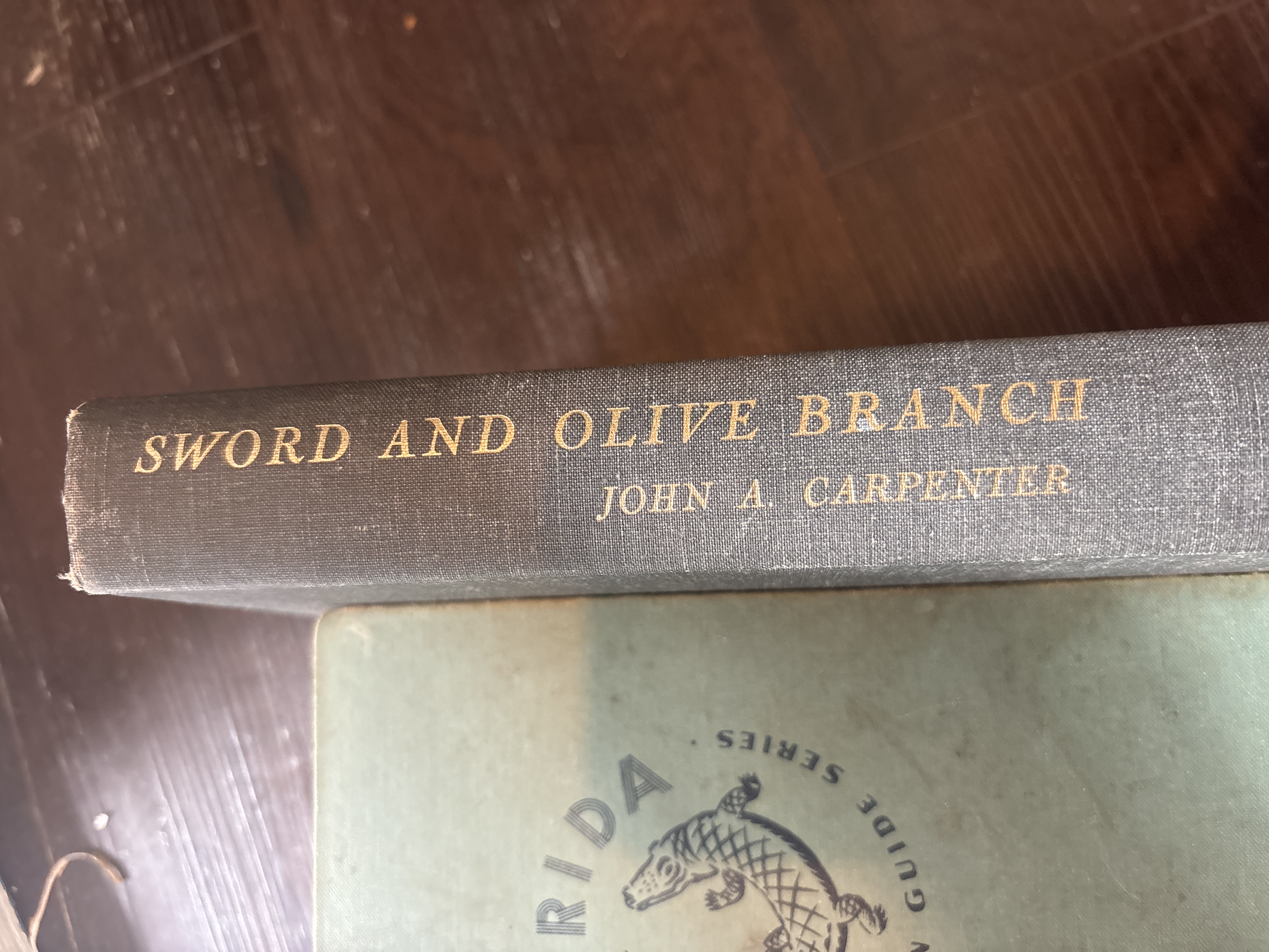 Sword and Olive Branch