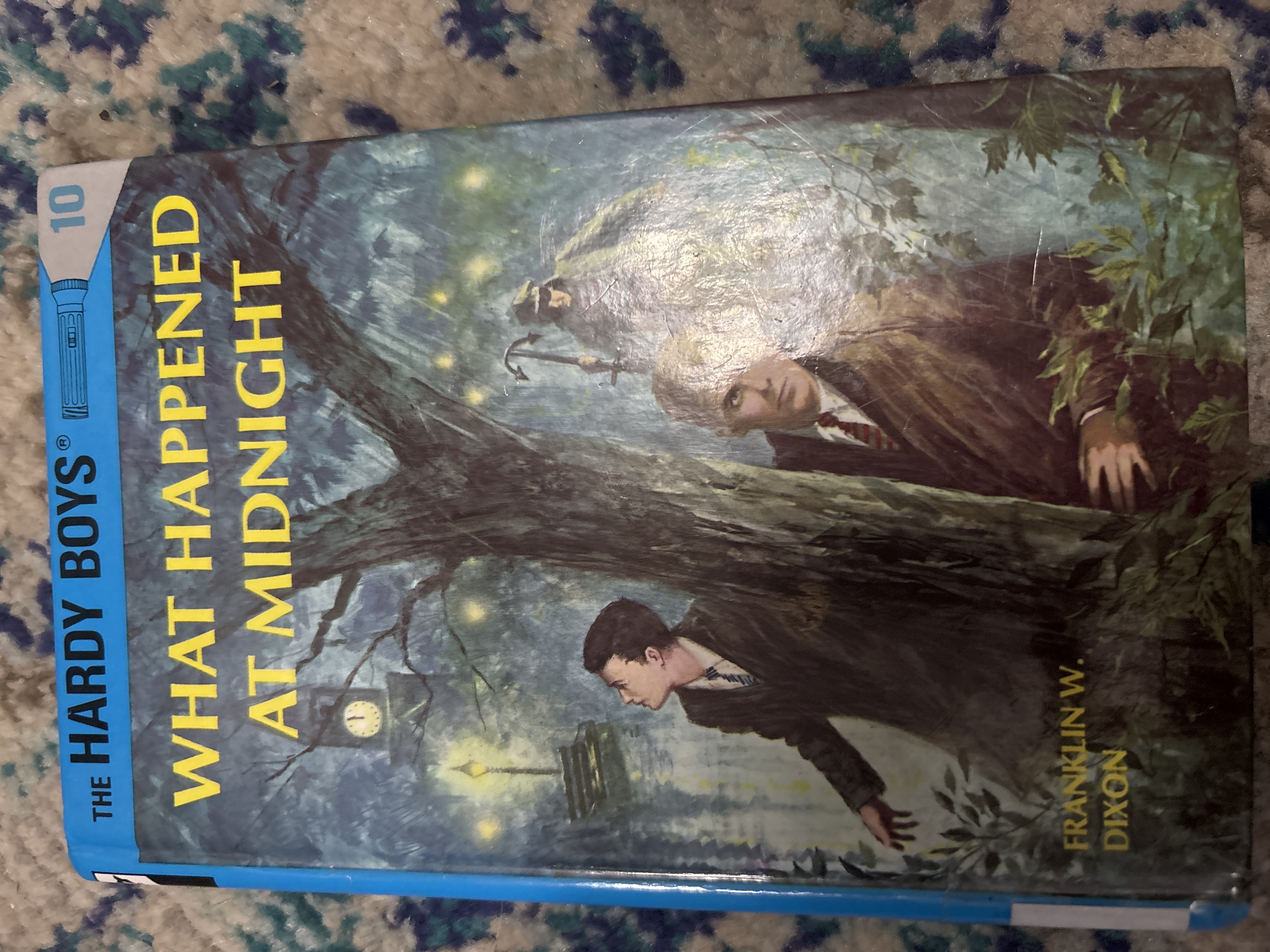 The Hardy Boys: What Happened at Midnight