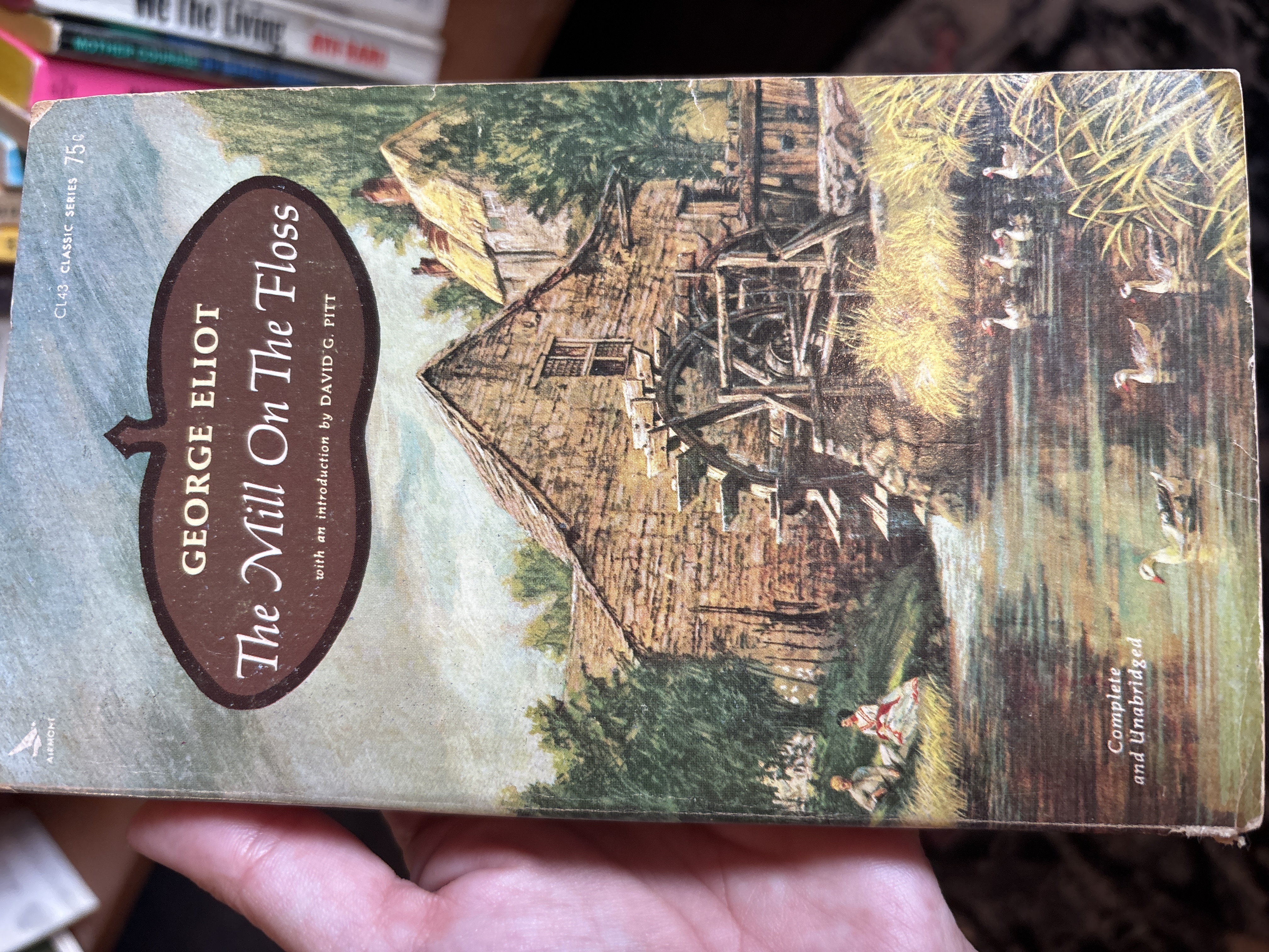 The Mill On The Floss by George Eliot