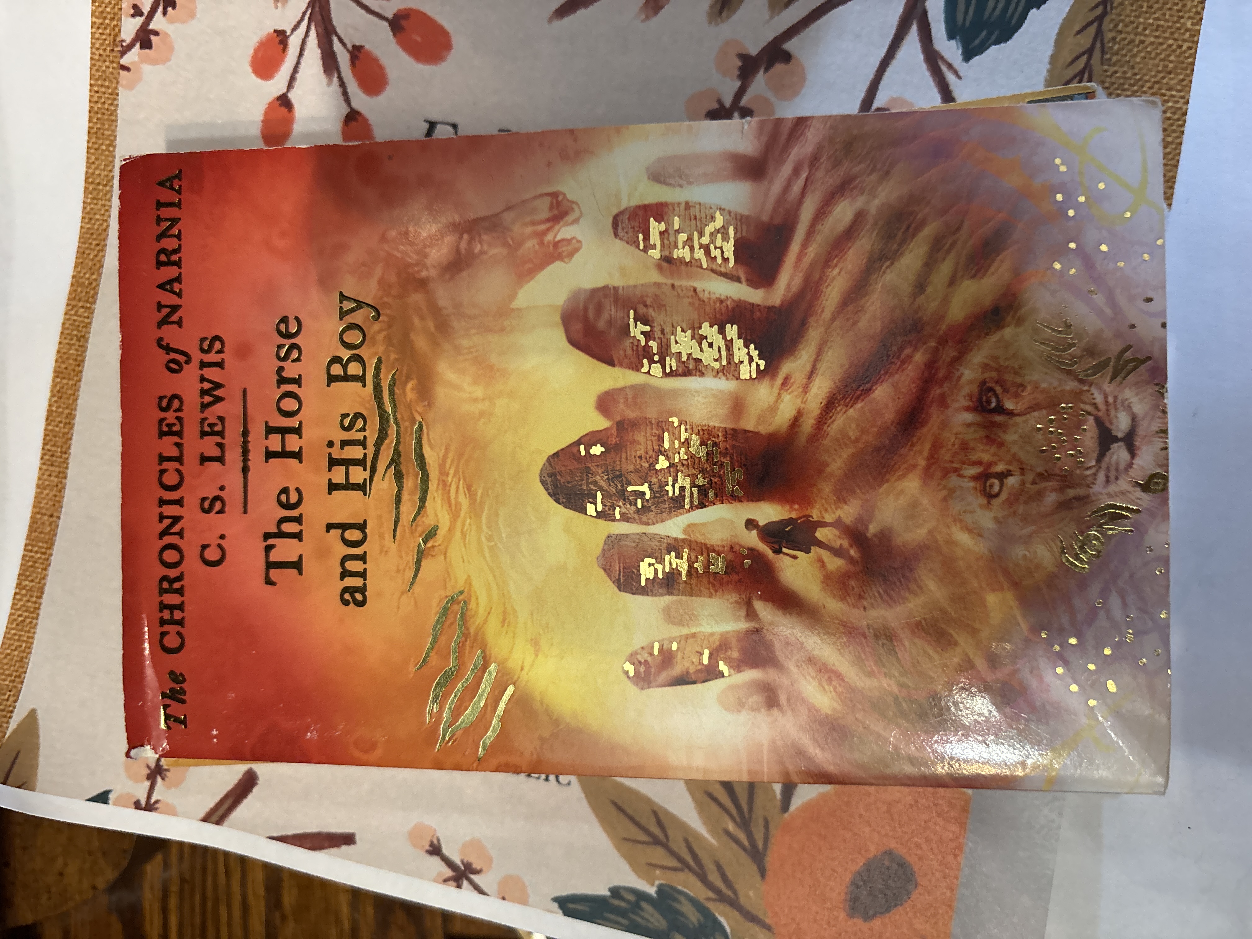 The Horse and His Boy