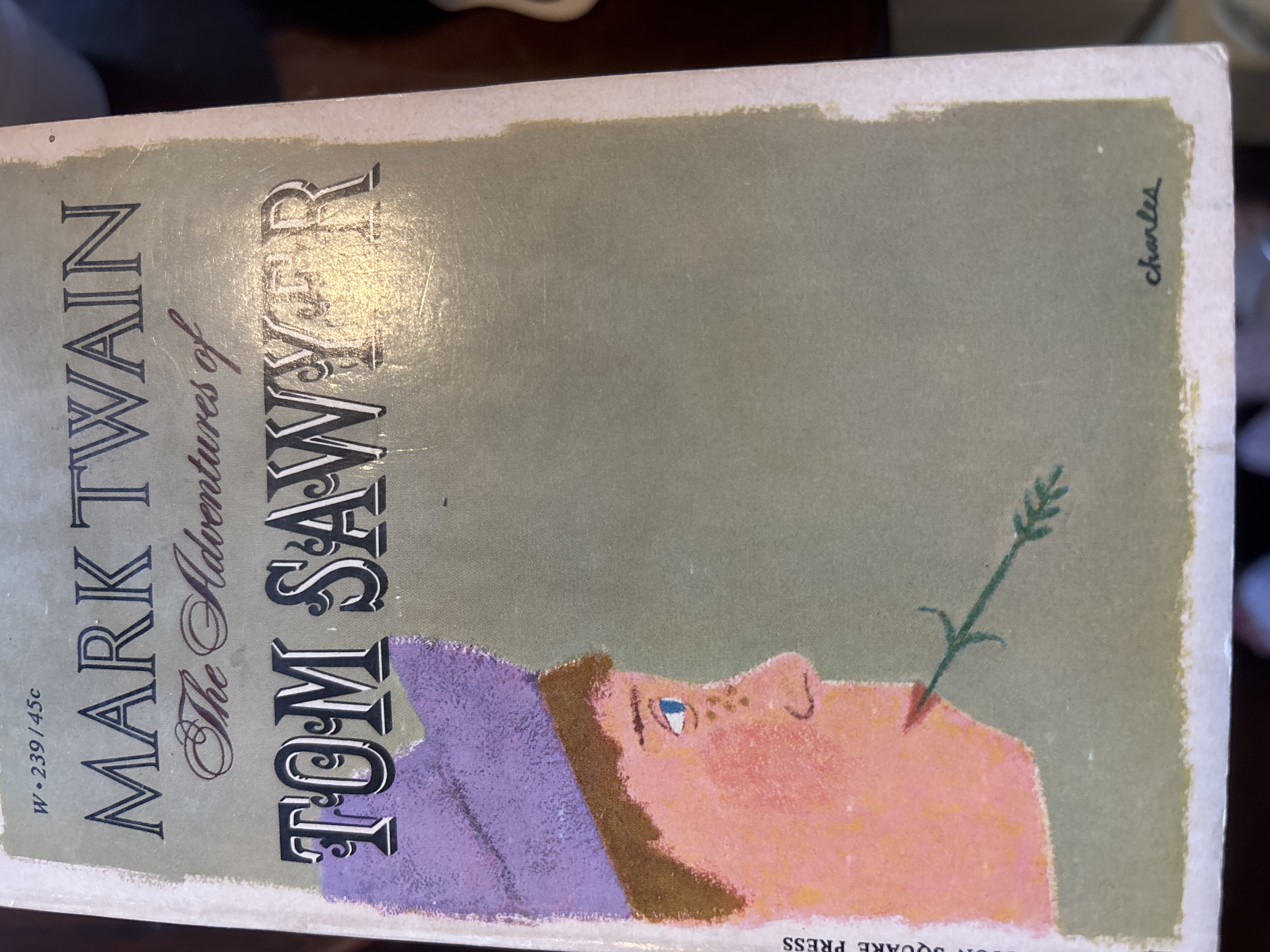 The Adventures of Tom Sawyer by Mark Twain