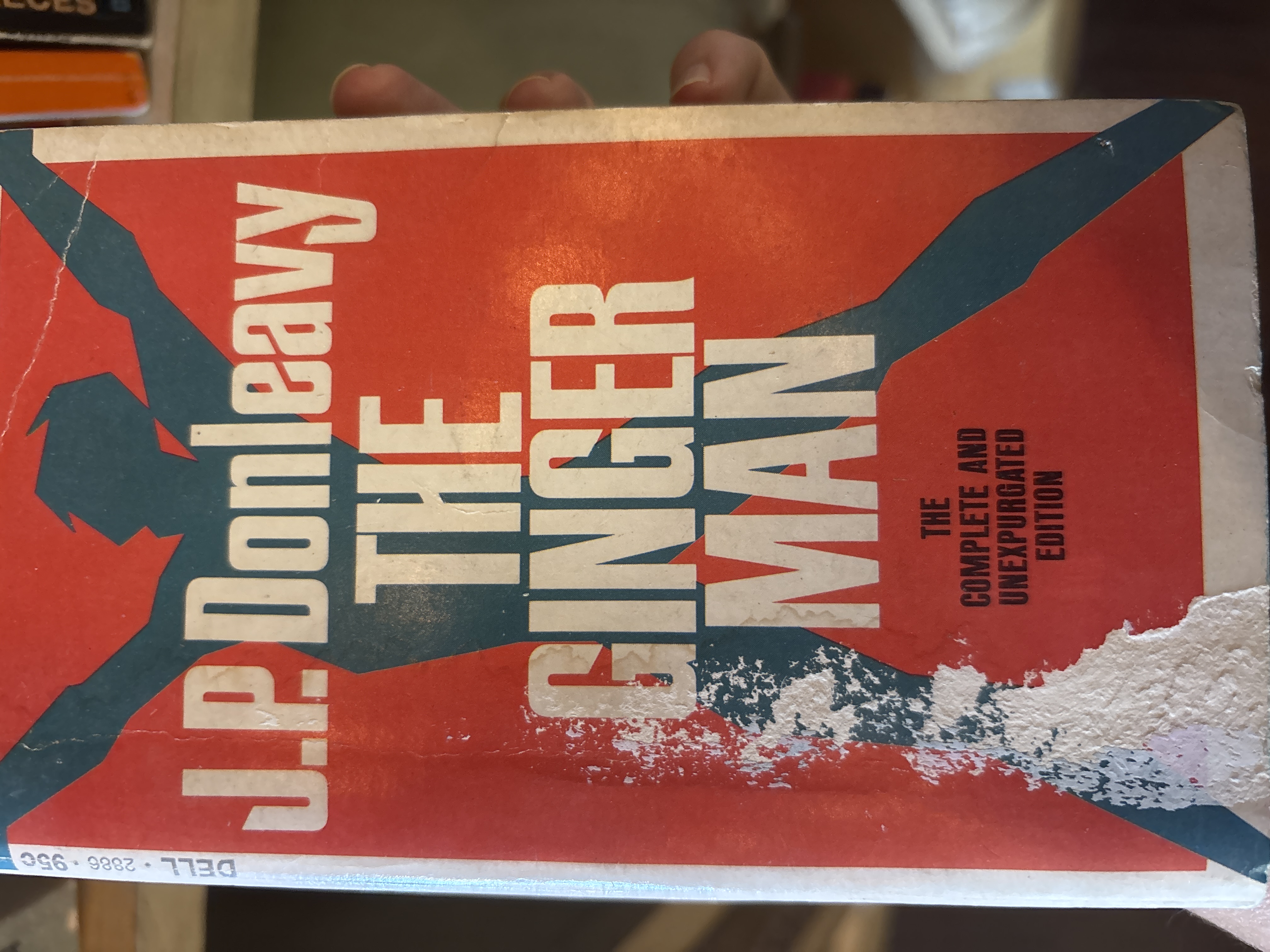 The Ginger Man by J.P. Donleavy